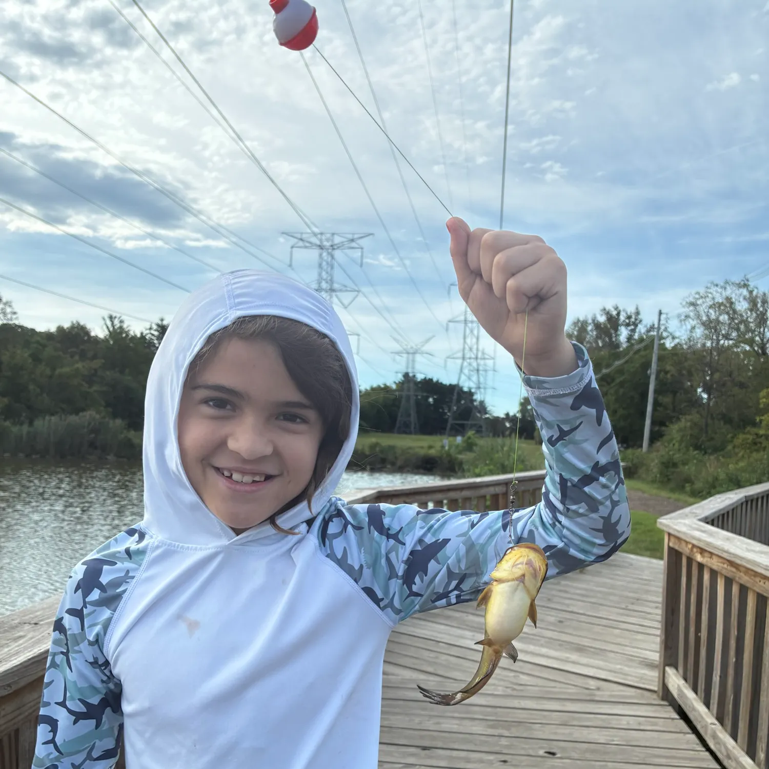Yellow bullhead caught on Fishbrain