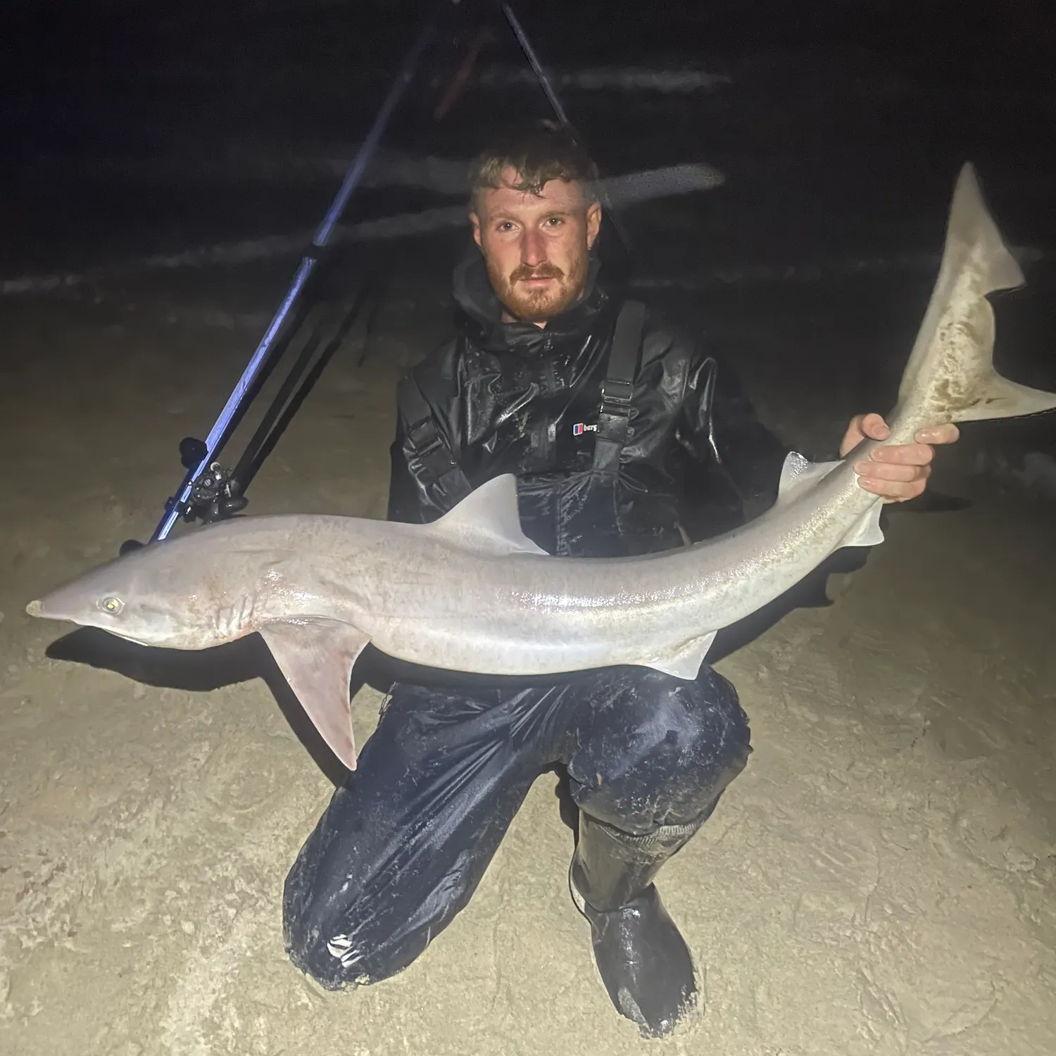 Tope shark caught on Fishbrain