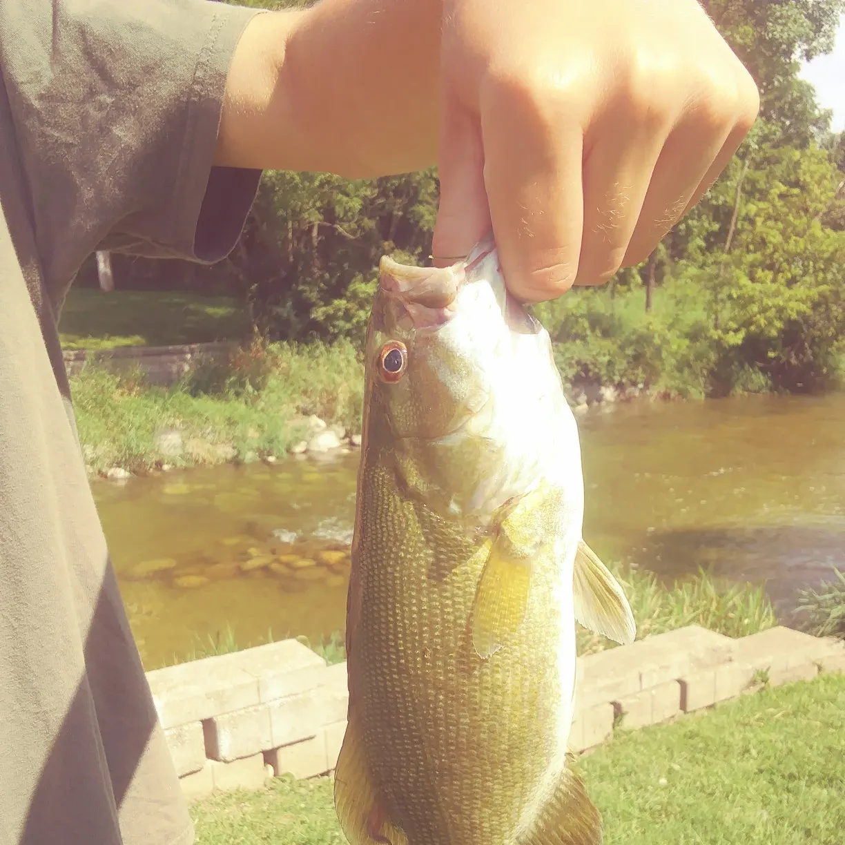 Fish caught on Fishbrain
