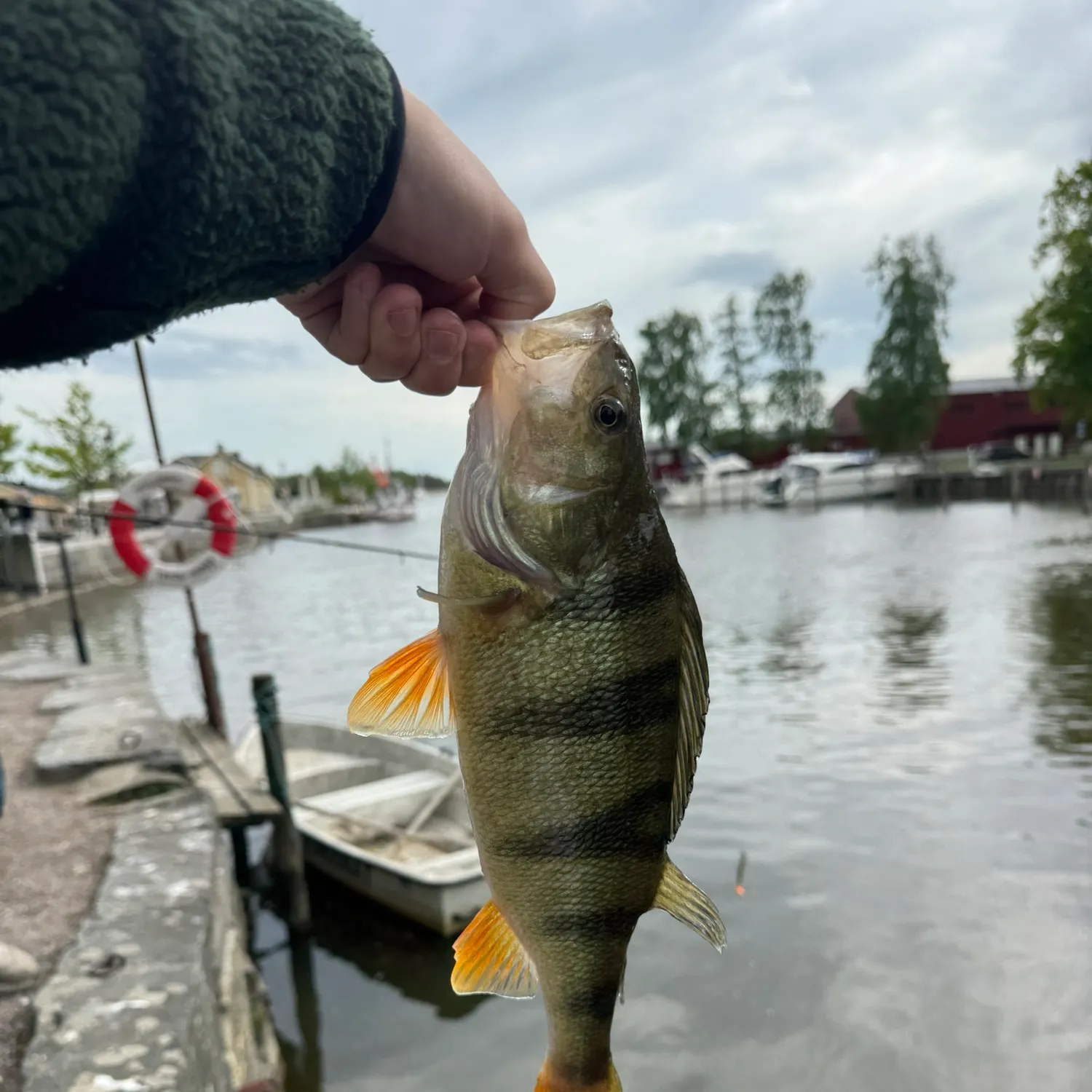 catch