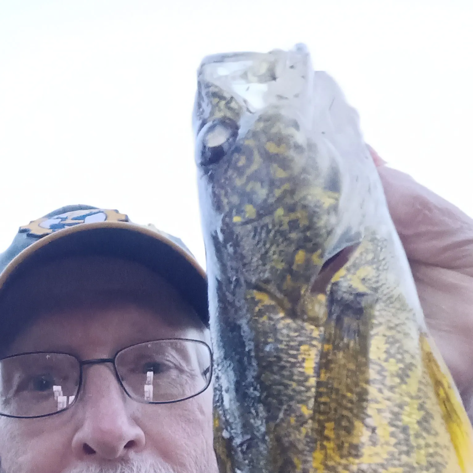 Walleye caught on Fishbrain