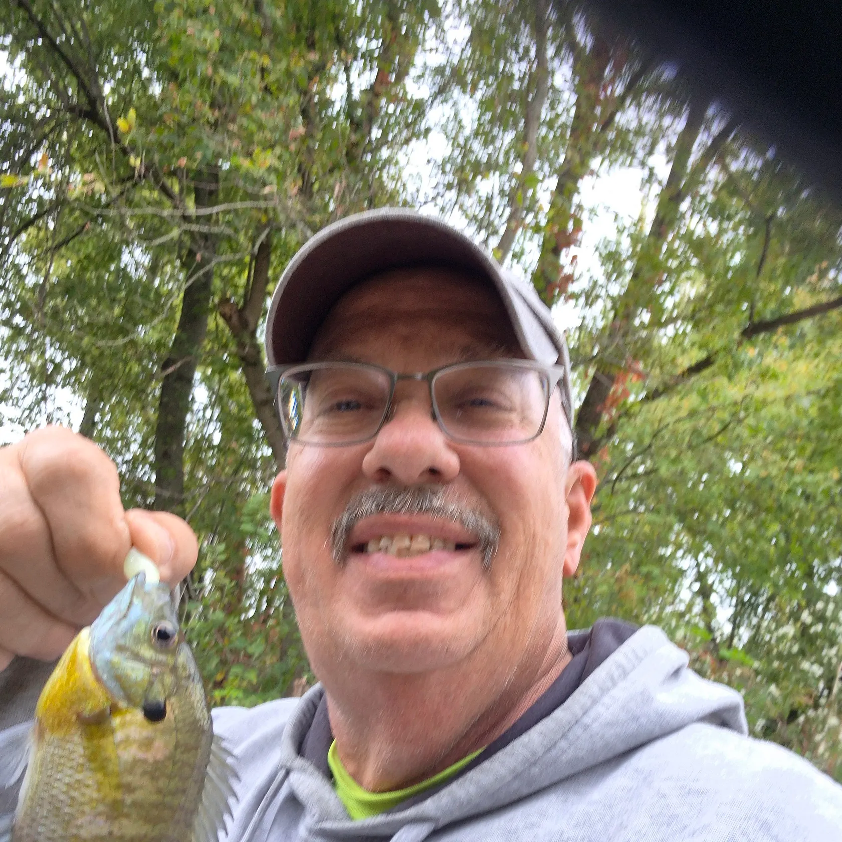Bluegill caught on Fishbrain