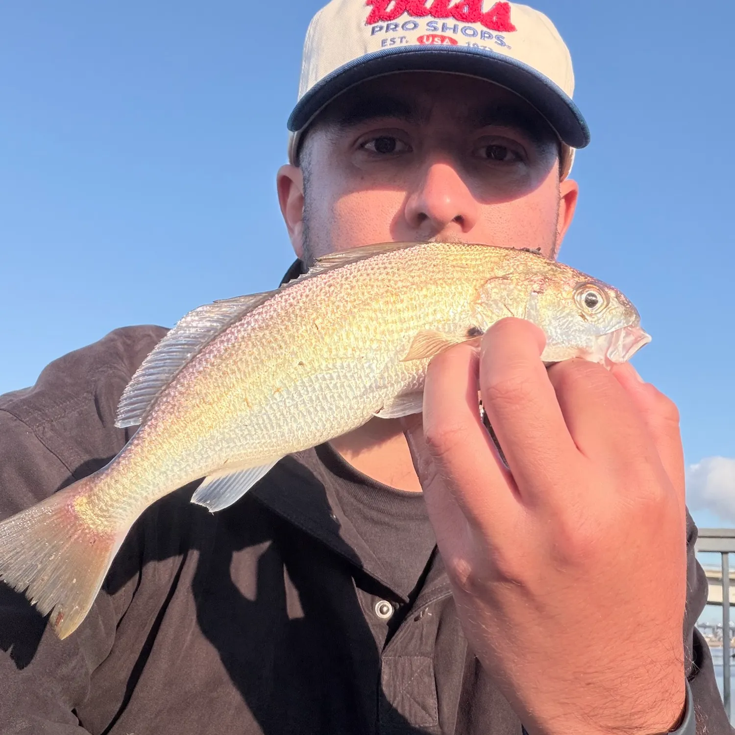 The most recent White croaker catches on Fishbrain