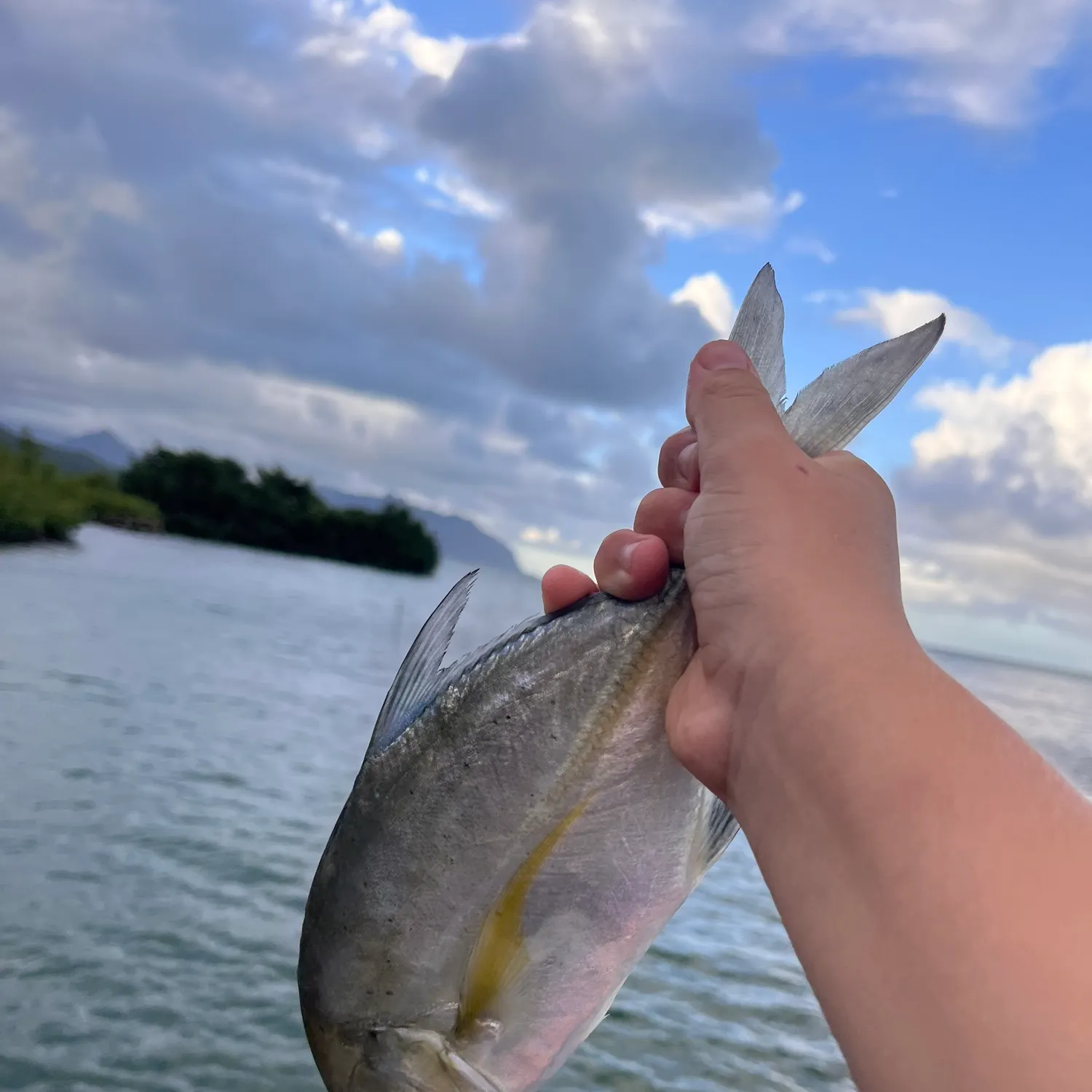 Giant trevally caught on Fishbrain