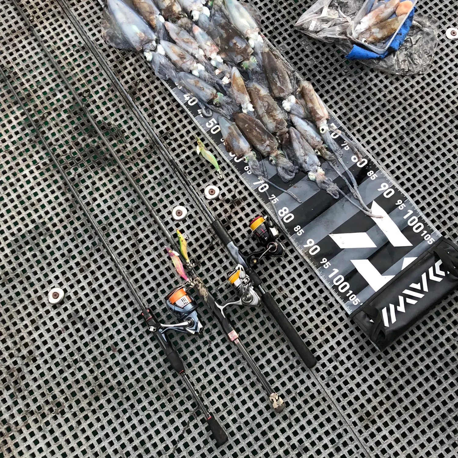 recently logged catches