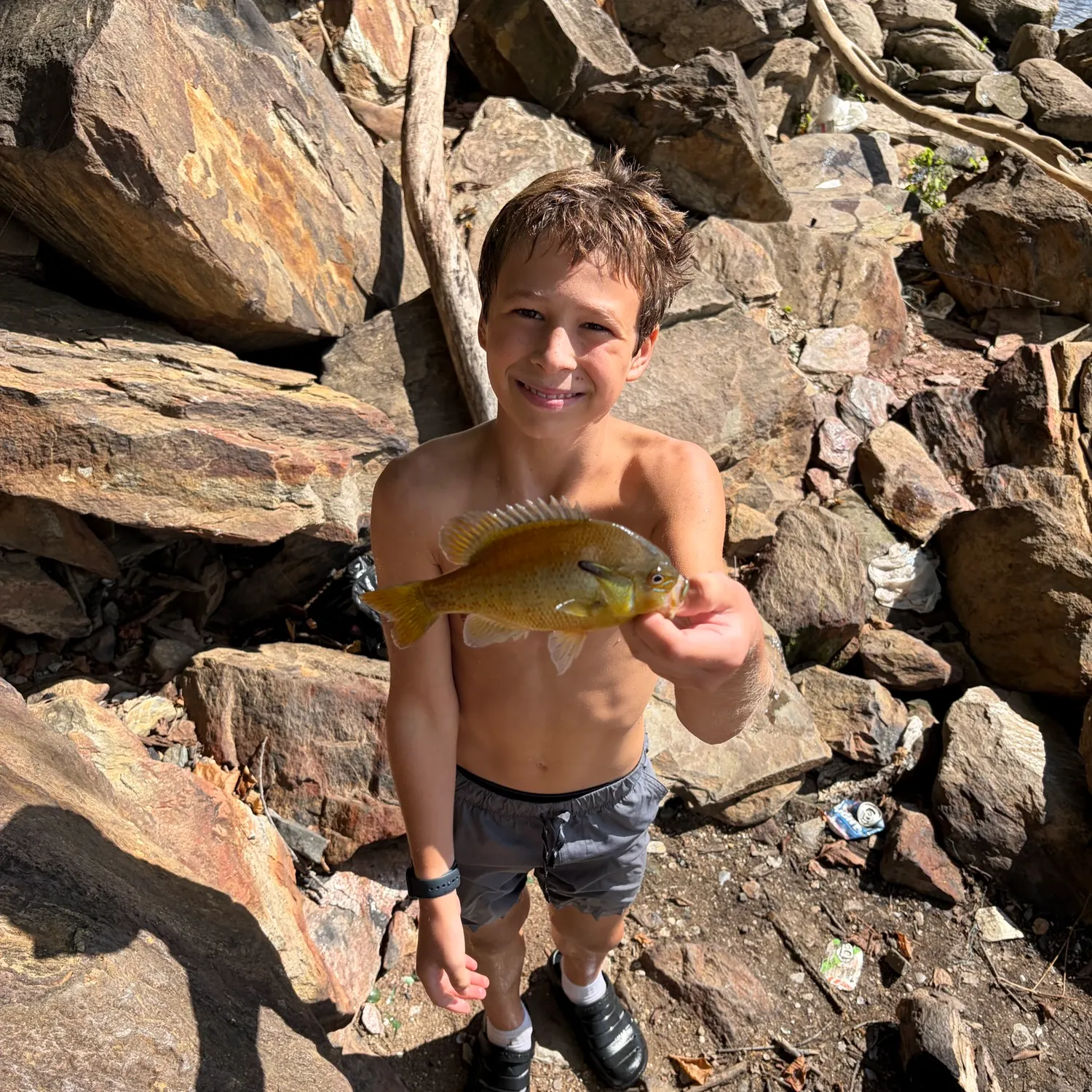 Redbreast sunfish caught on Fishbrain
