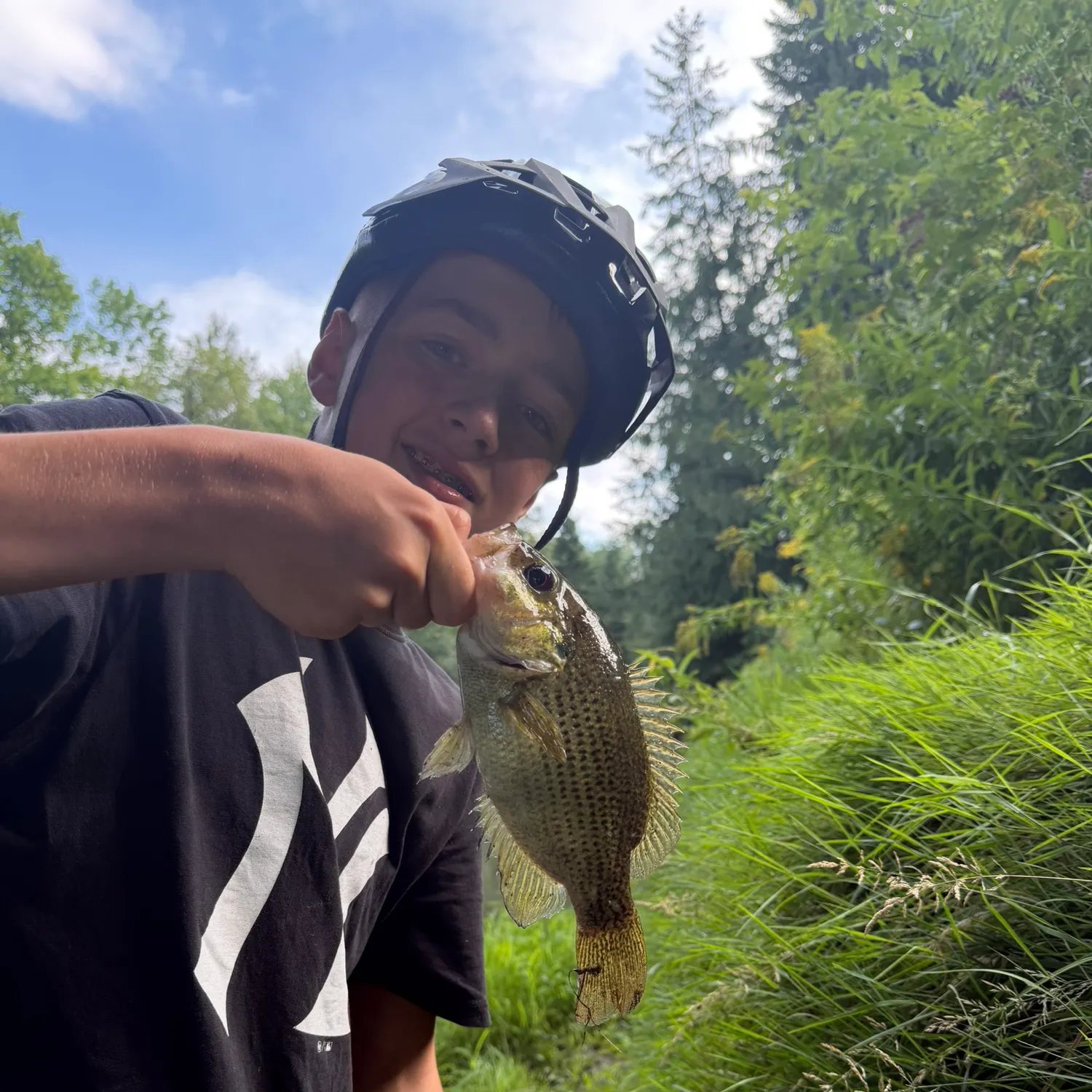 Rock bass caught on Fishbrain