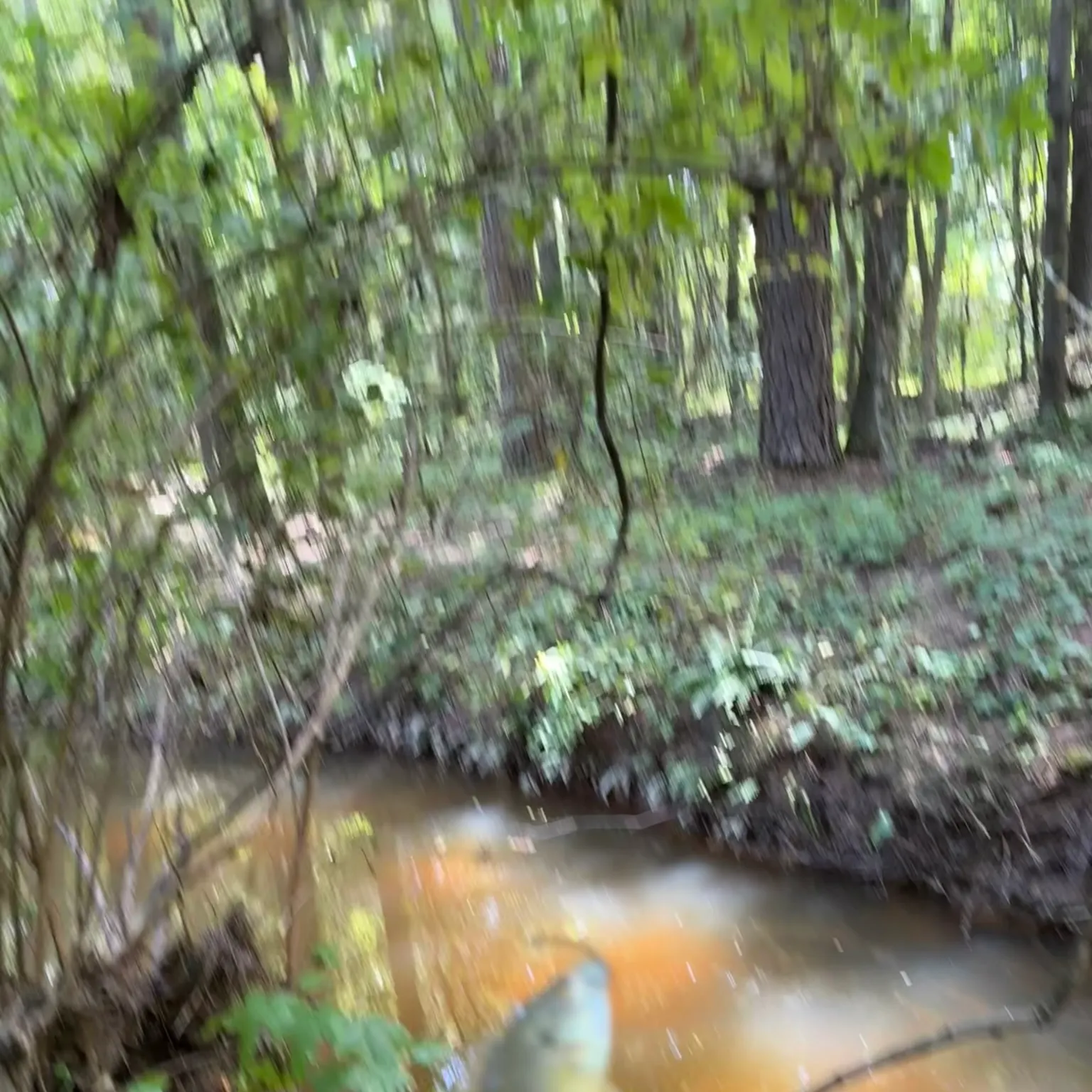 The most recent Pumpkinseed x green sunfish catches on Fishbrain