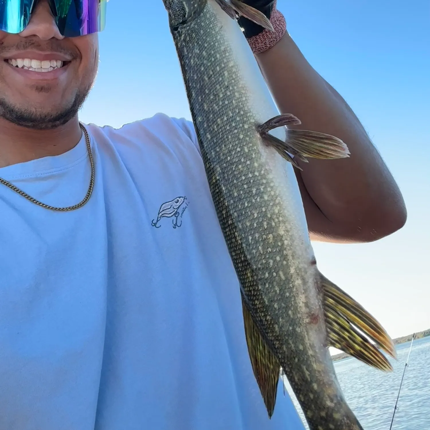 Northern pike caught on Fishbrain