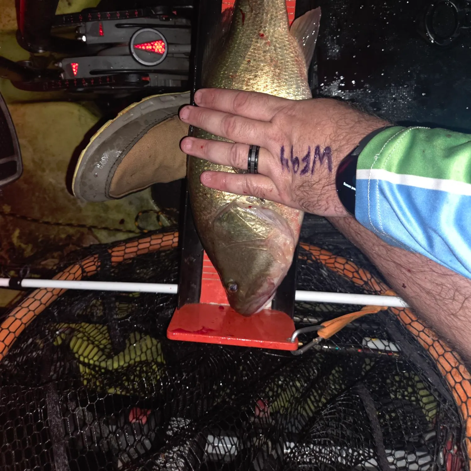 Largemouth bass caught on Fishbrain