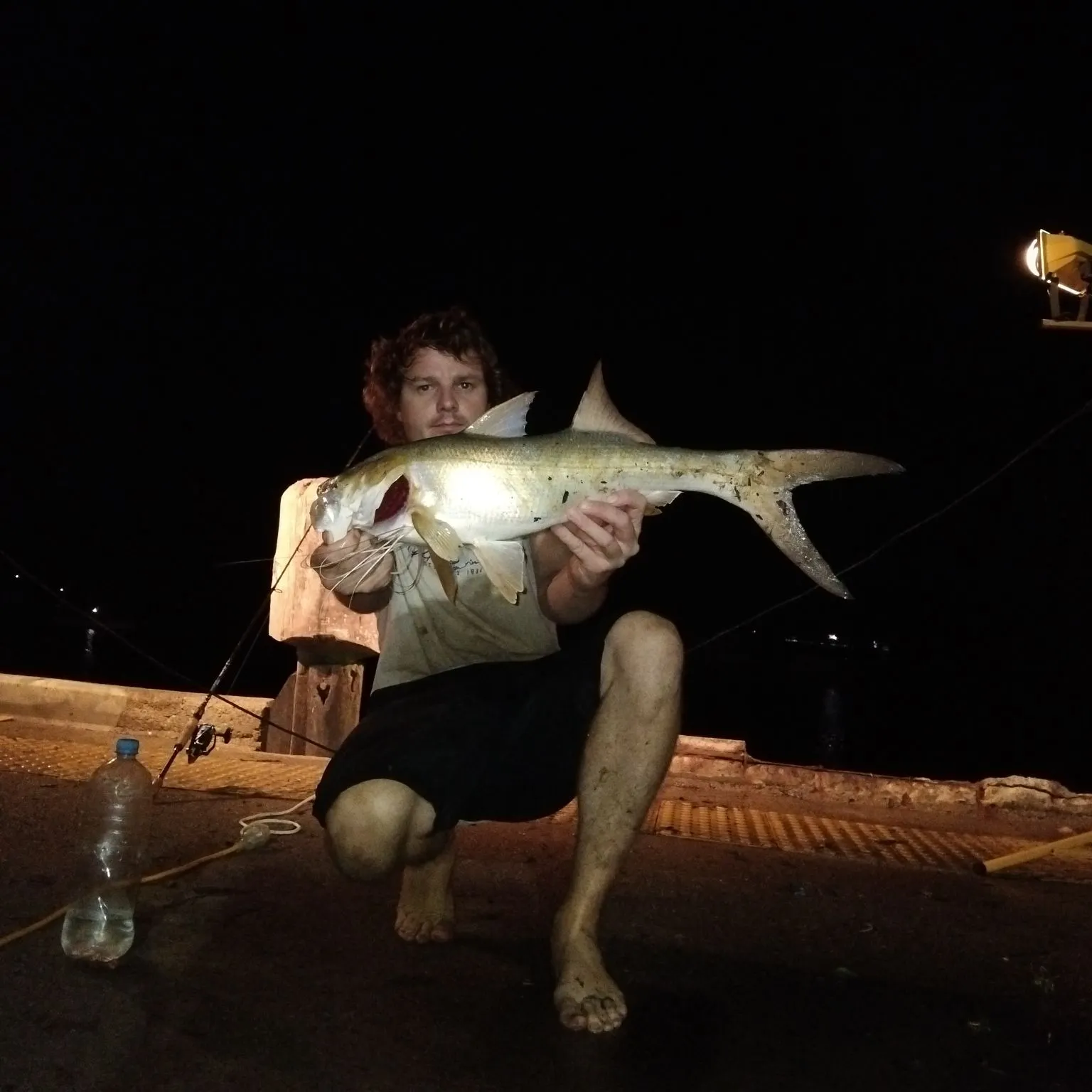 The most recent King threadfin catches on Fishbrain