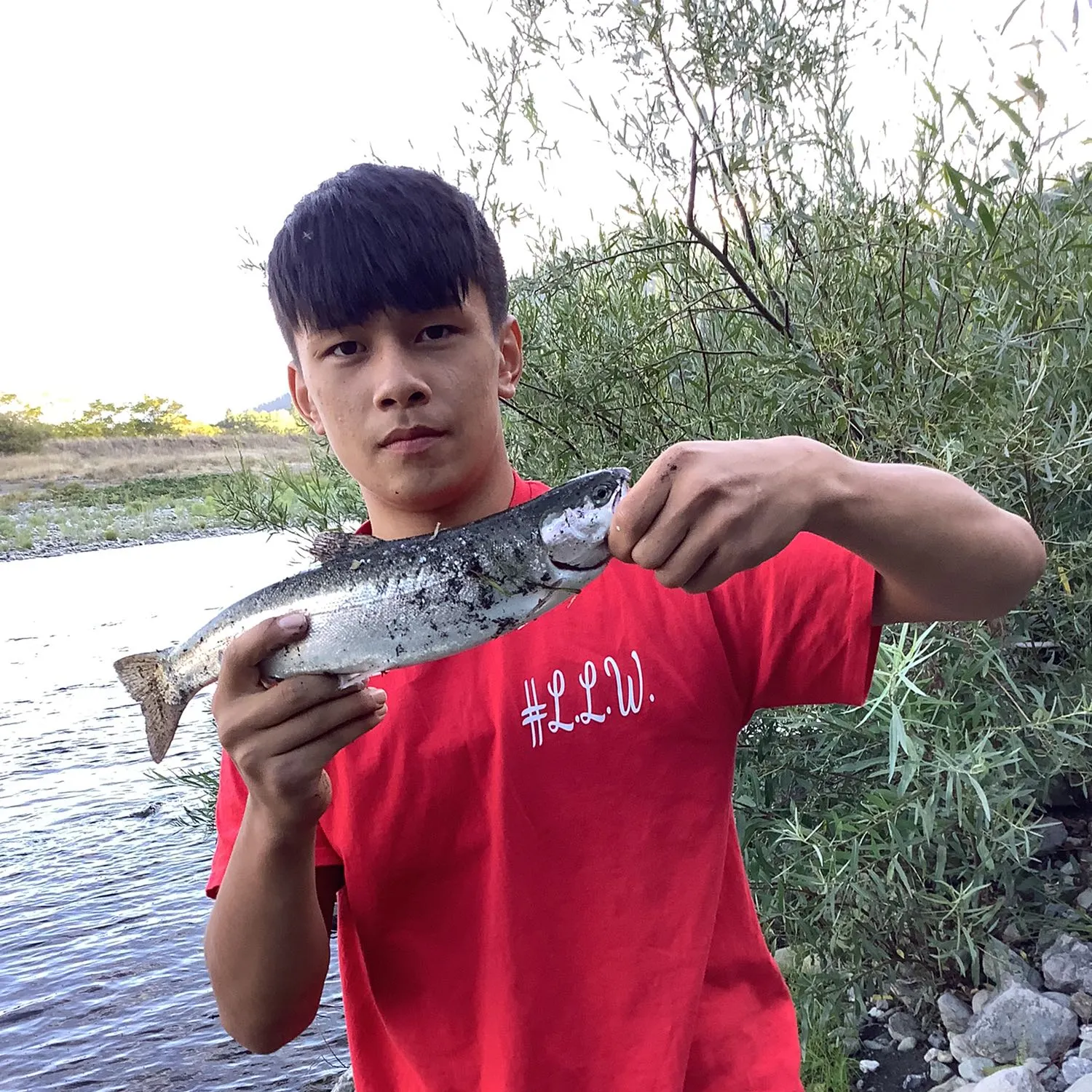 Rainbow trout caught on Fishbrain
