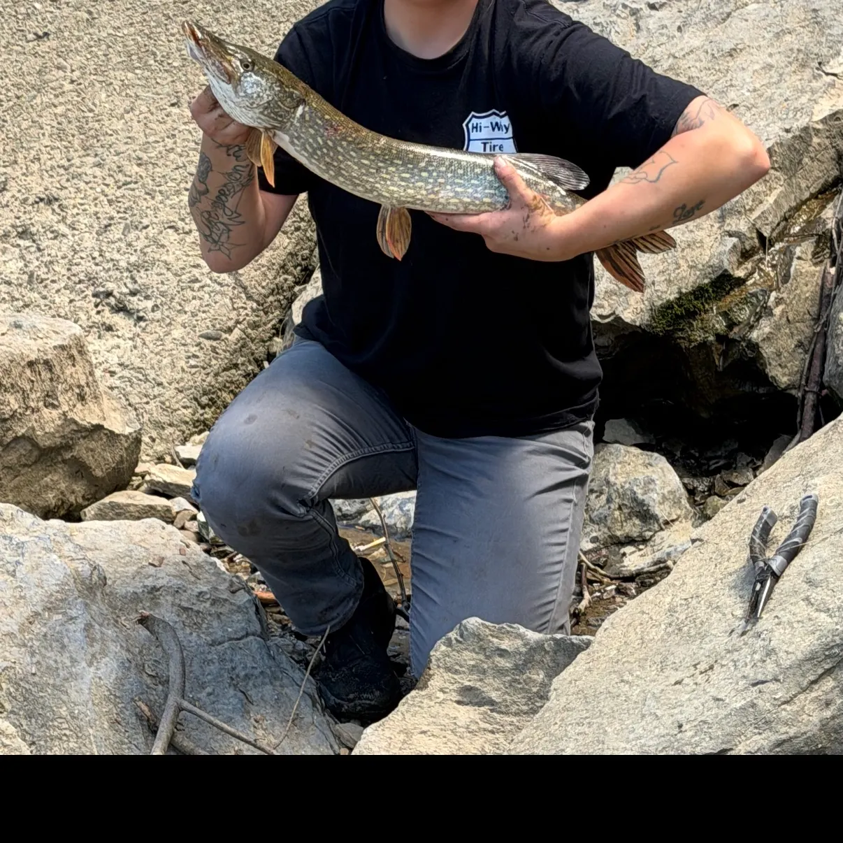 recently logged catches