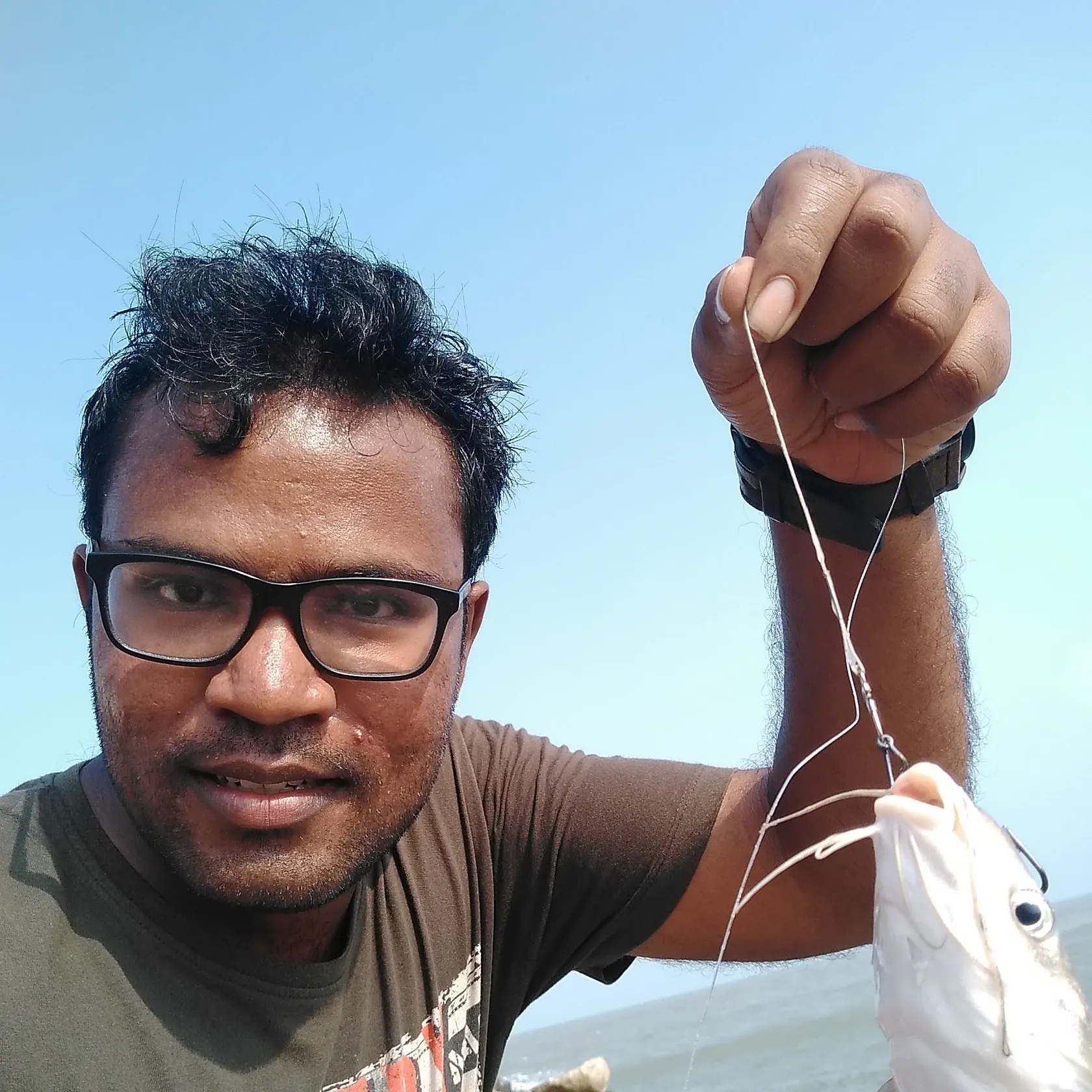 The most recent Giant sea catfish catches on Fishbrain