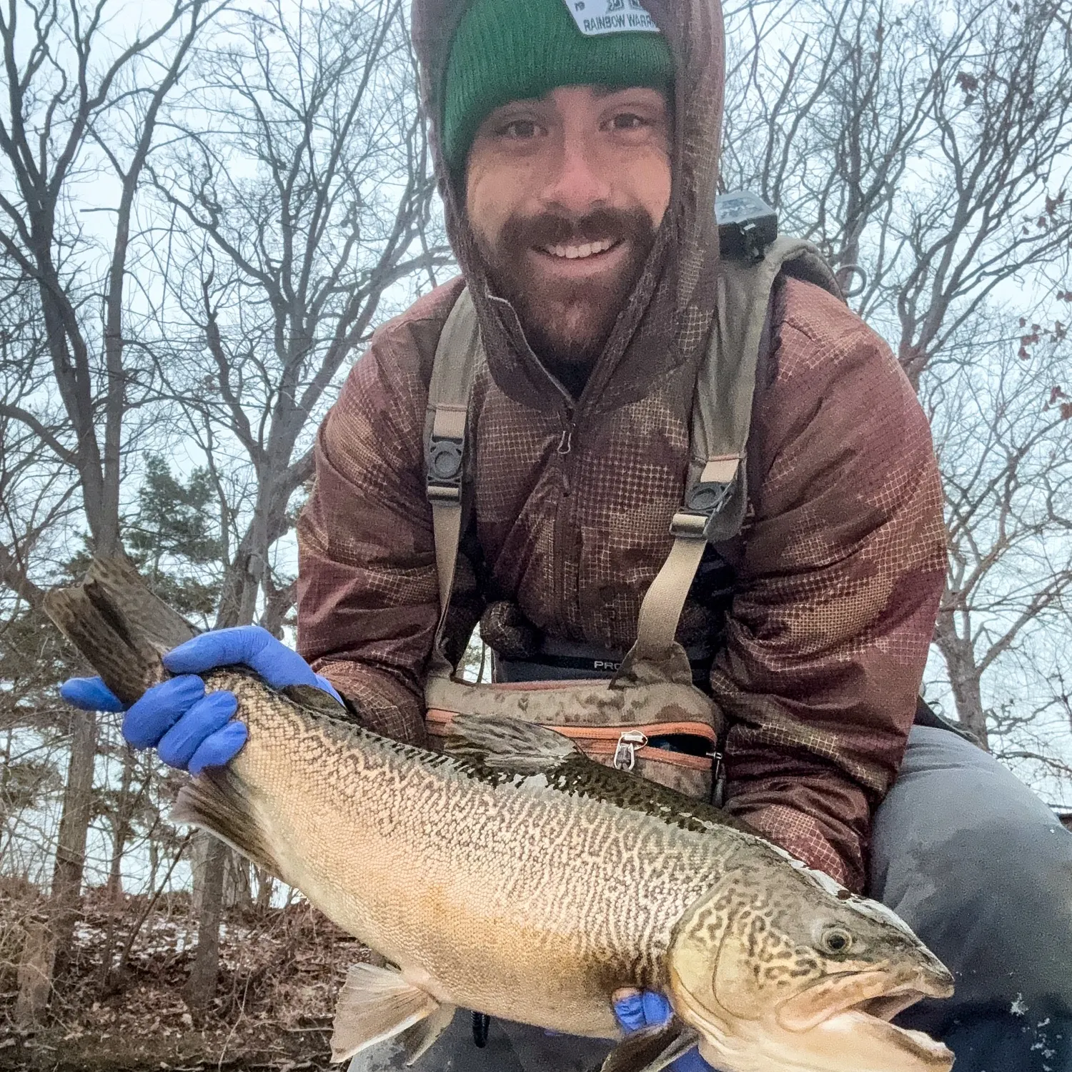 The most recent Tiger trout catches on Fishbrain