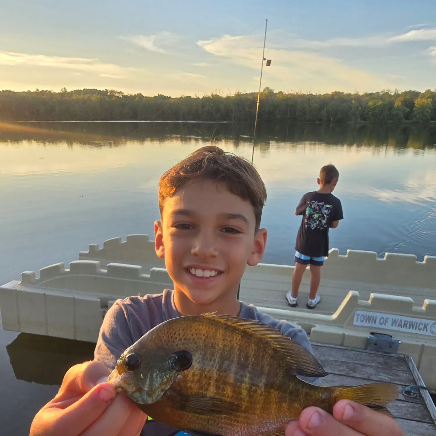 Bluegill caught on Fishbrain