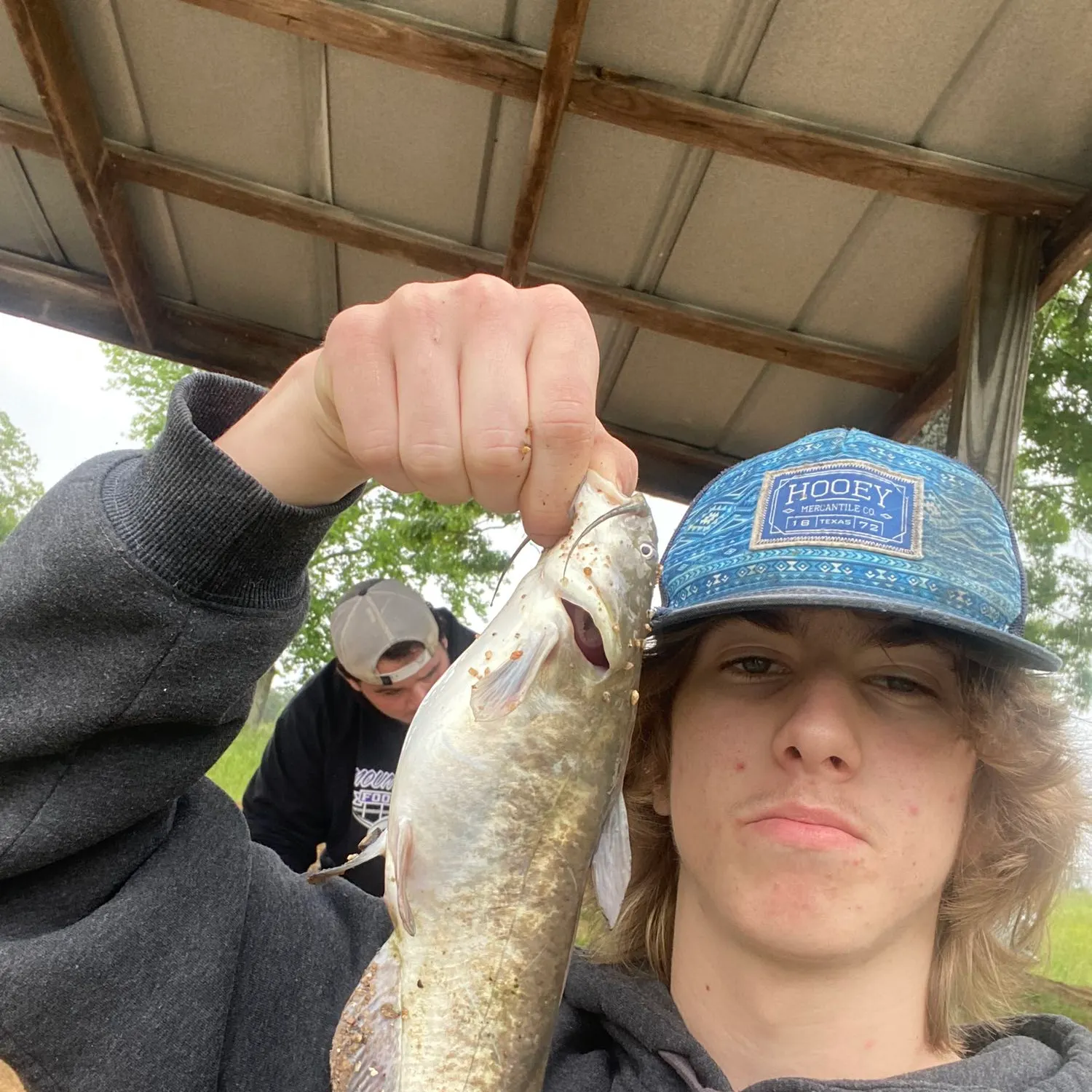 Channel catfish caught on Fishbrain