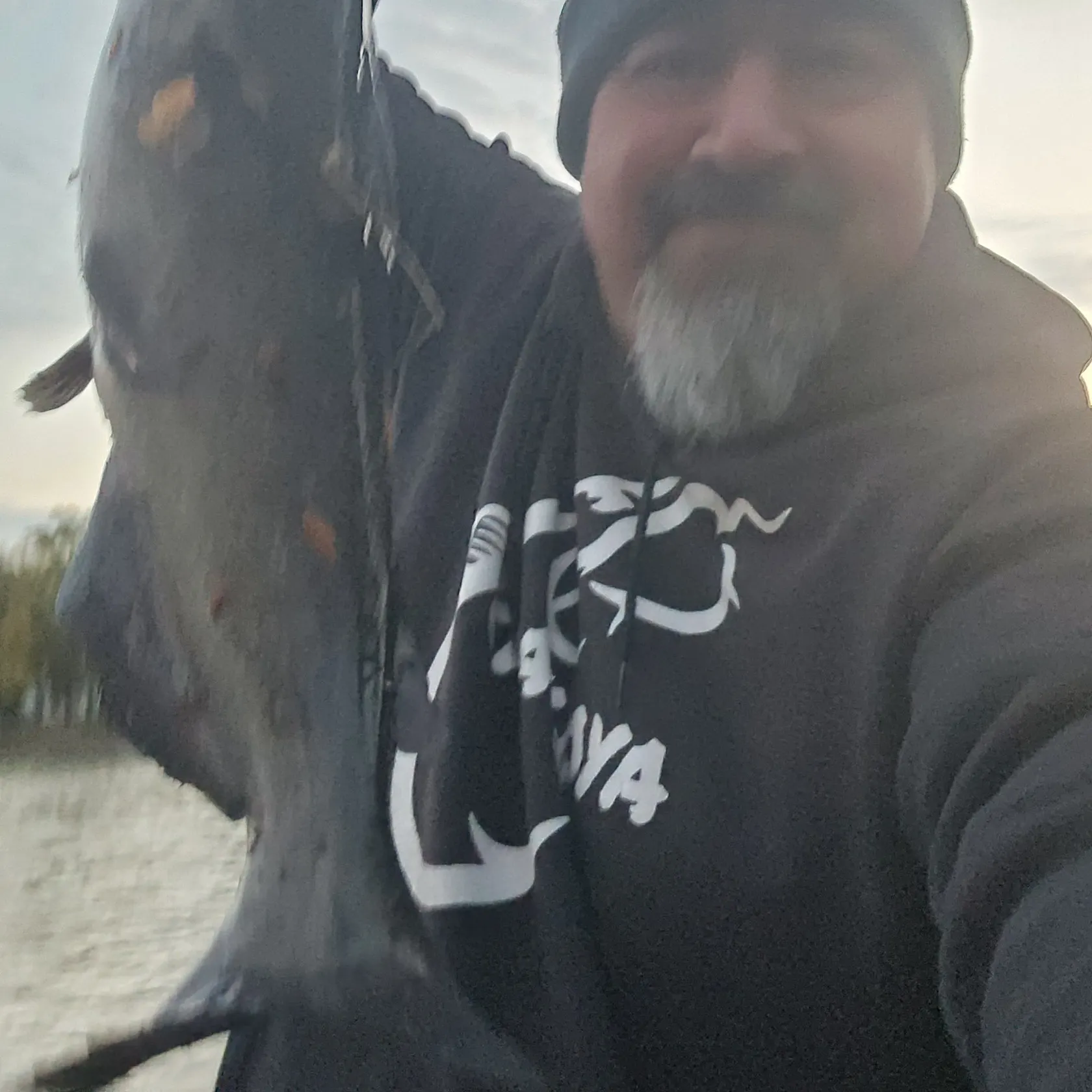Channel catfish caught on Fishbrain