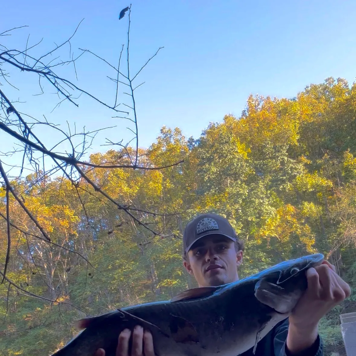 Channel catfish caught on Fishbrain