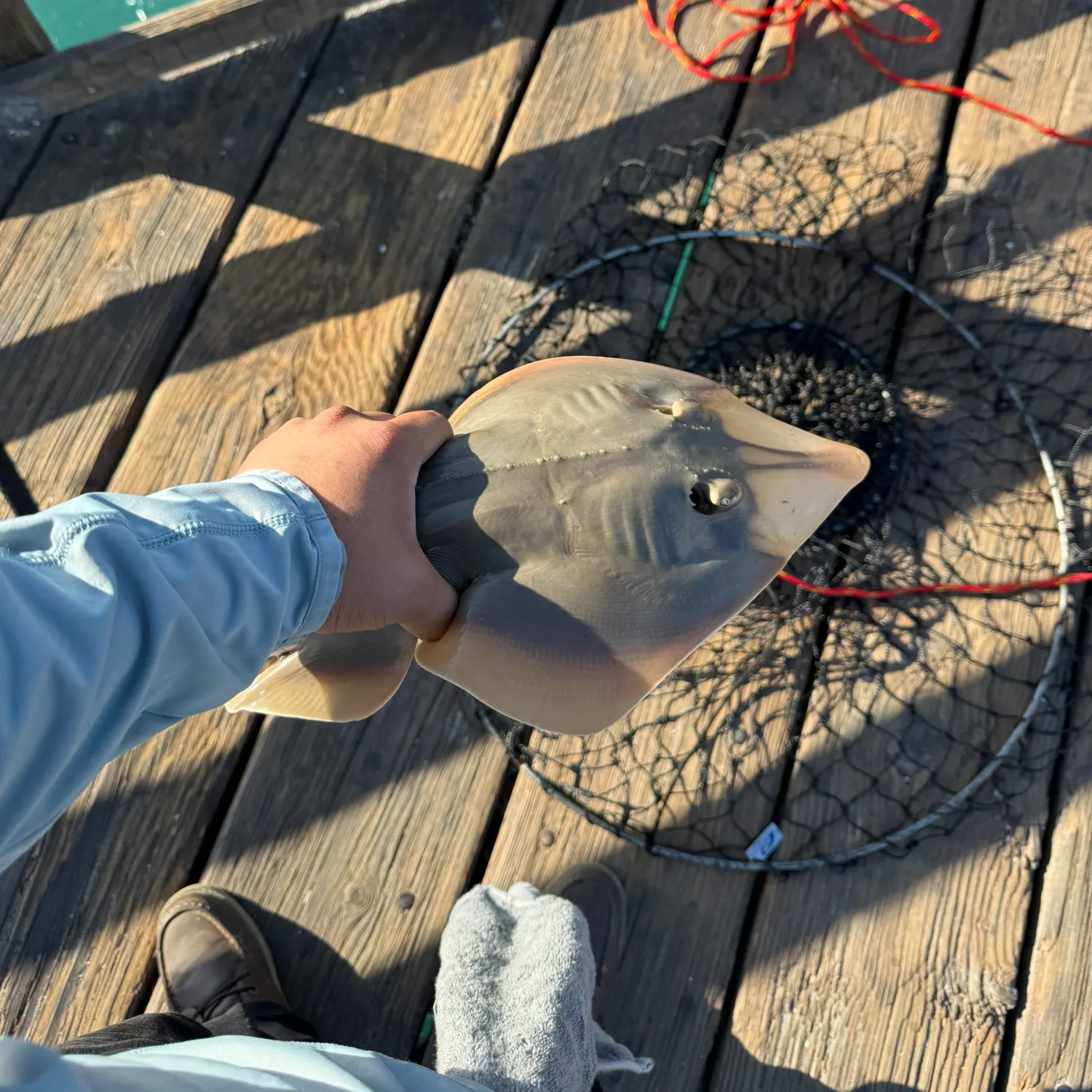 catch