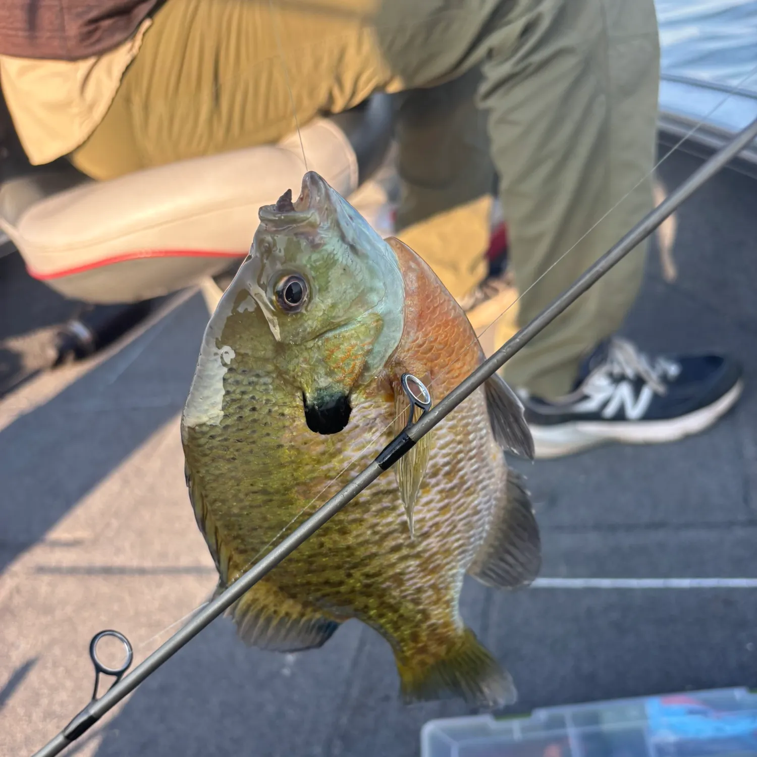 catch