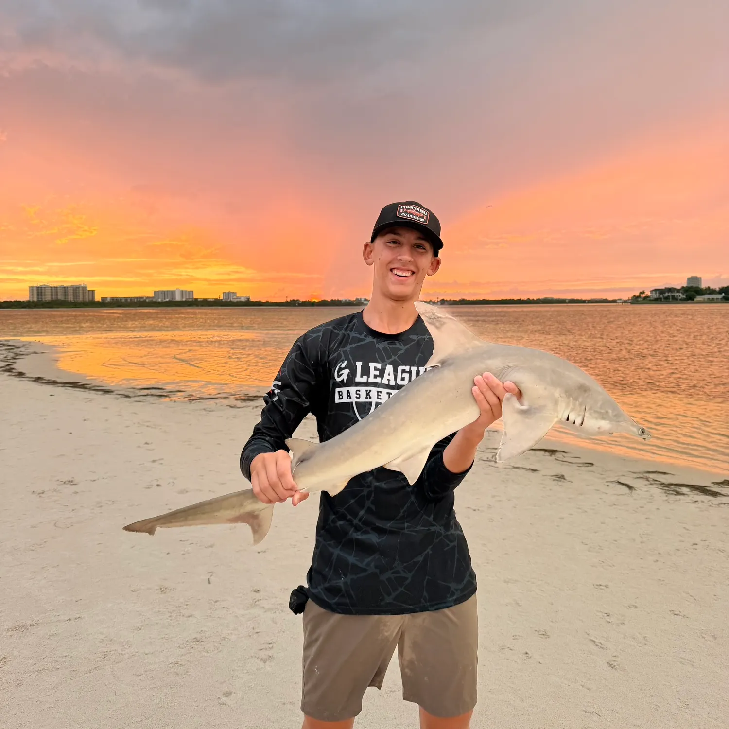 The most recent Bonnethead shark catches on Fishbrain