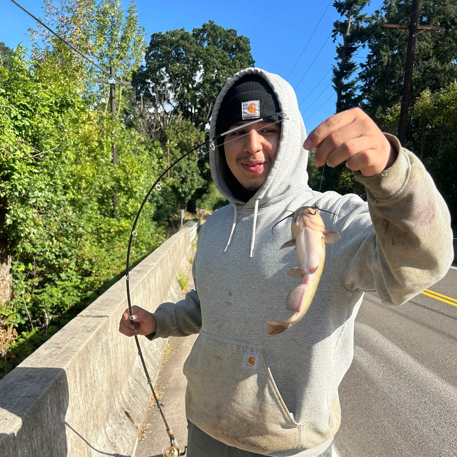 recently logged catches