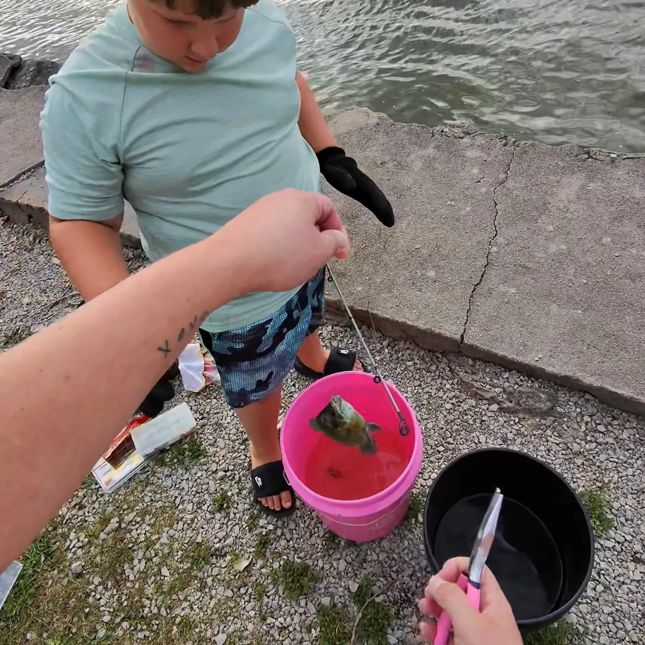 catch