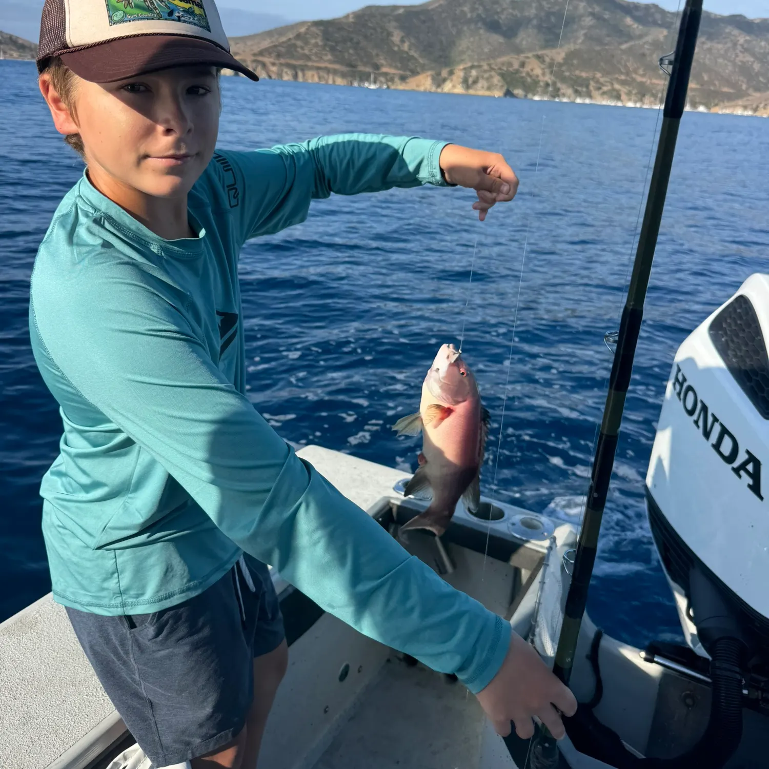 The most recent California sheephead catches on Fishbrain