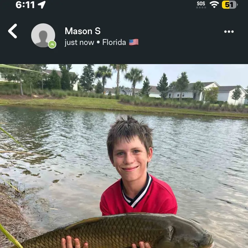 The most recent Grass carp catches on Fishbrain