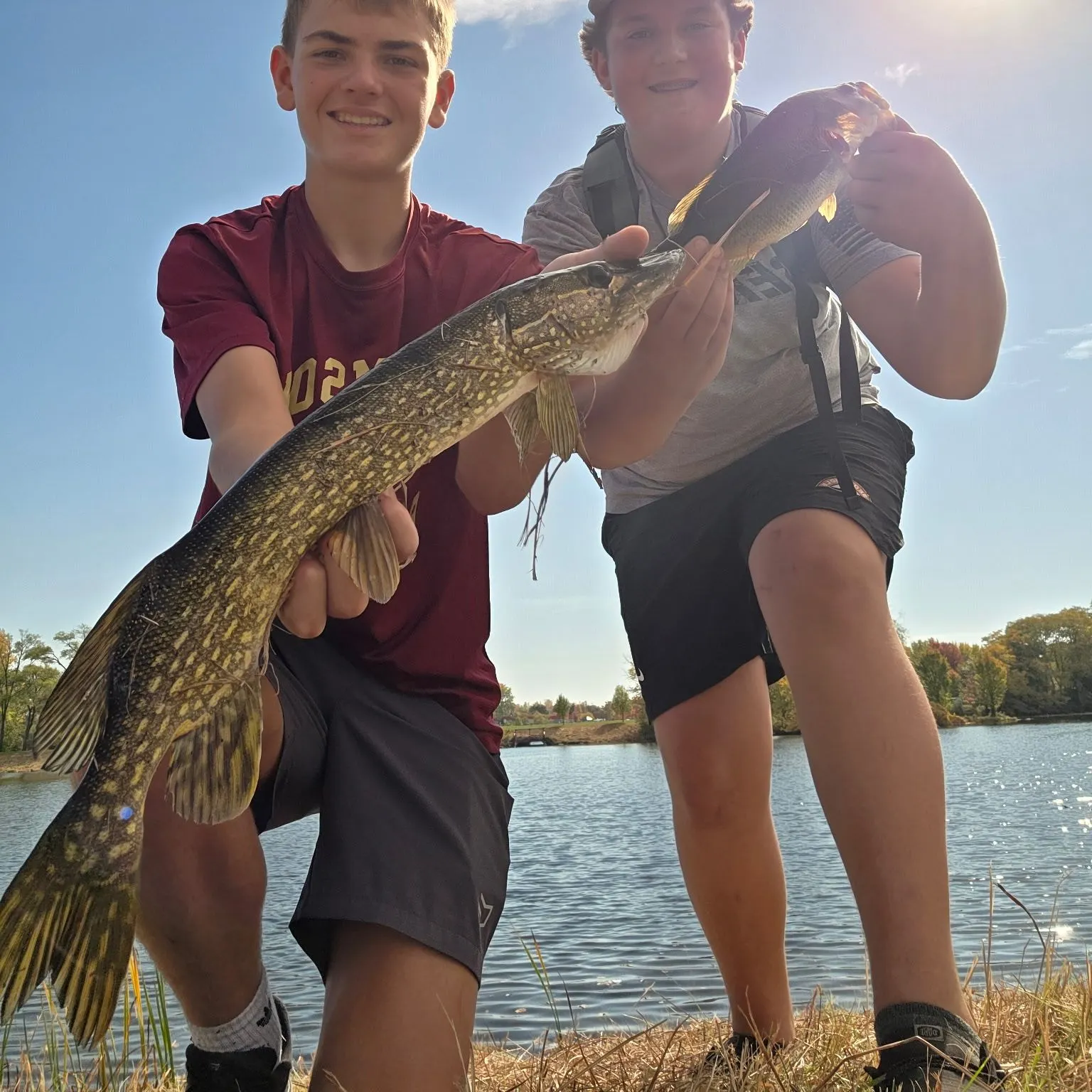 Northern pike caught on Fishbrain