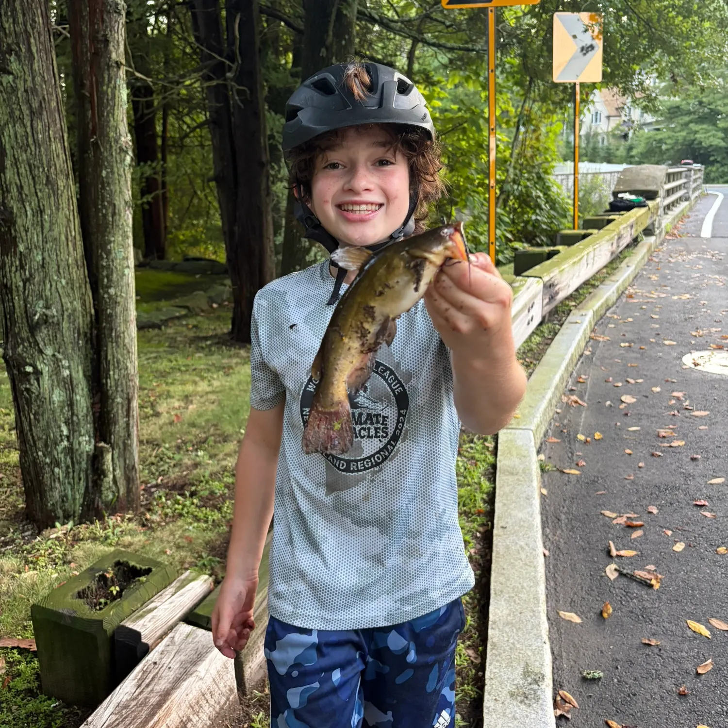 Yellow bullhead caught on Fishbrain