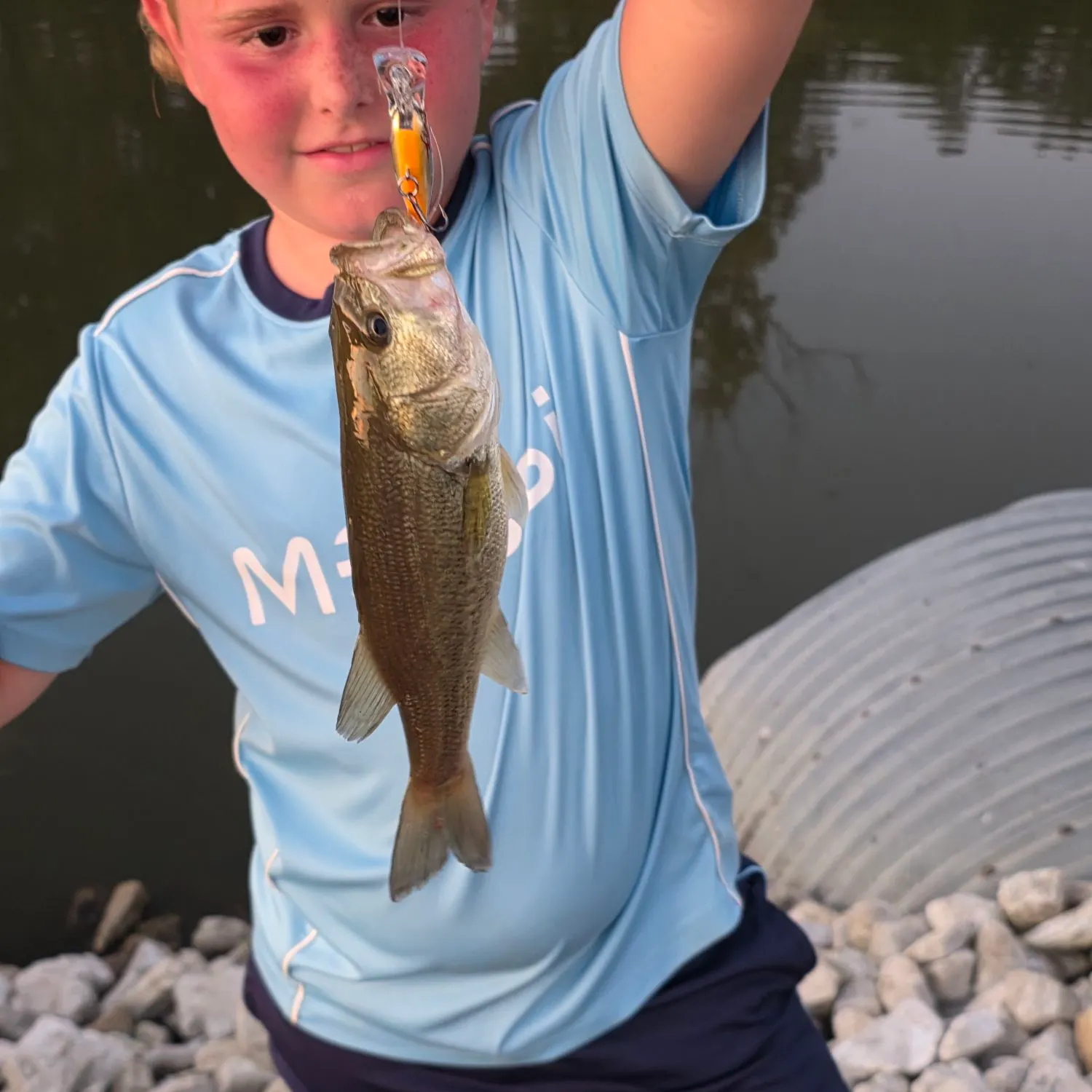 Largemouth bass caught on Fishbrain