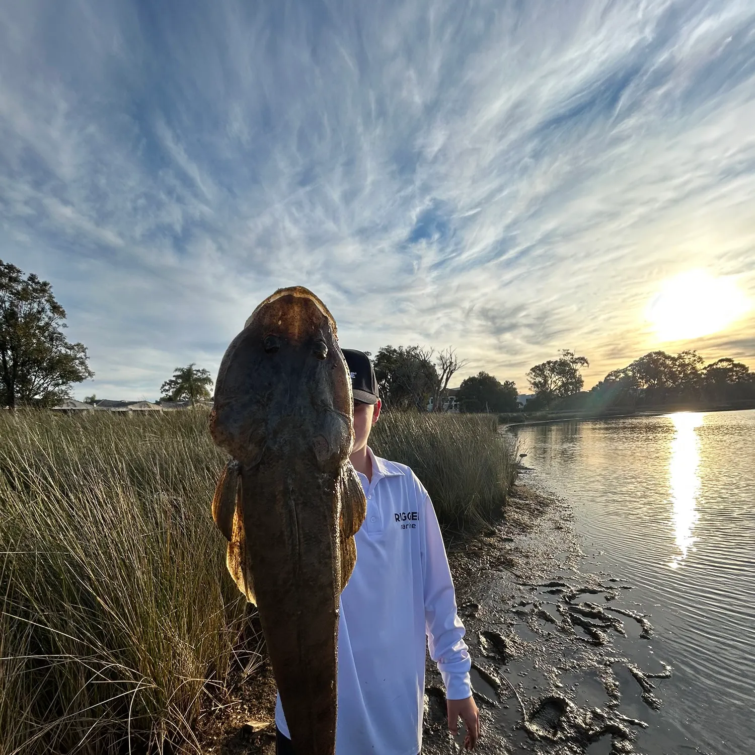 Bartail flathead caught on Fishbrain
