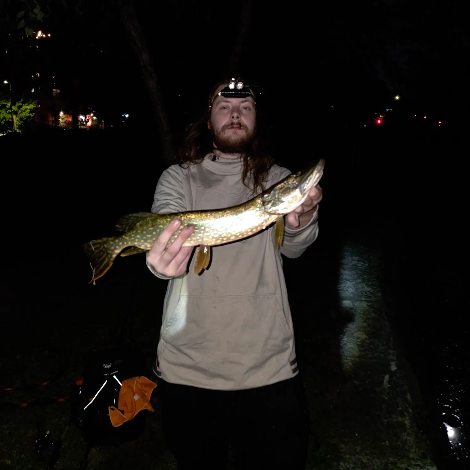 Northern pike caught on Fishbrain
