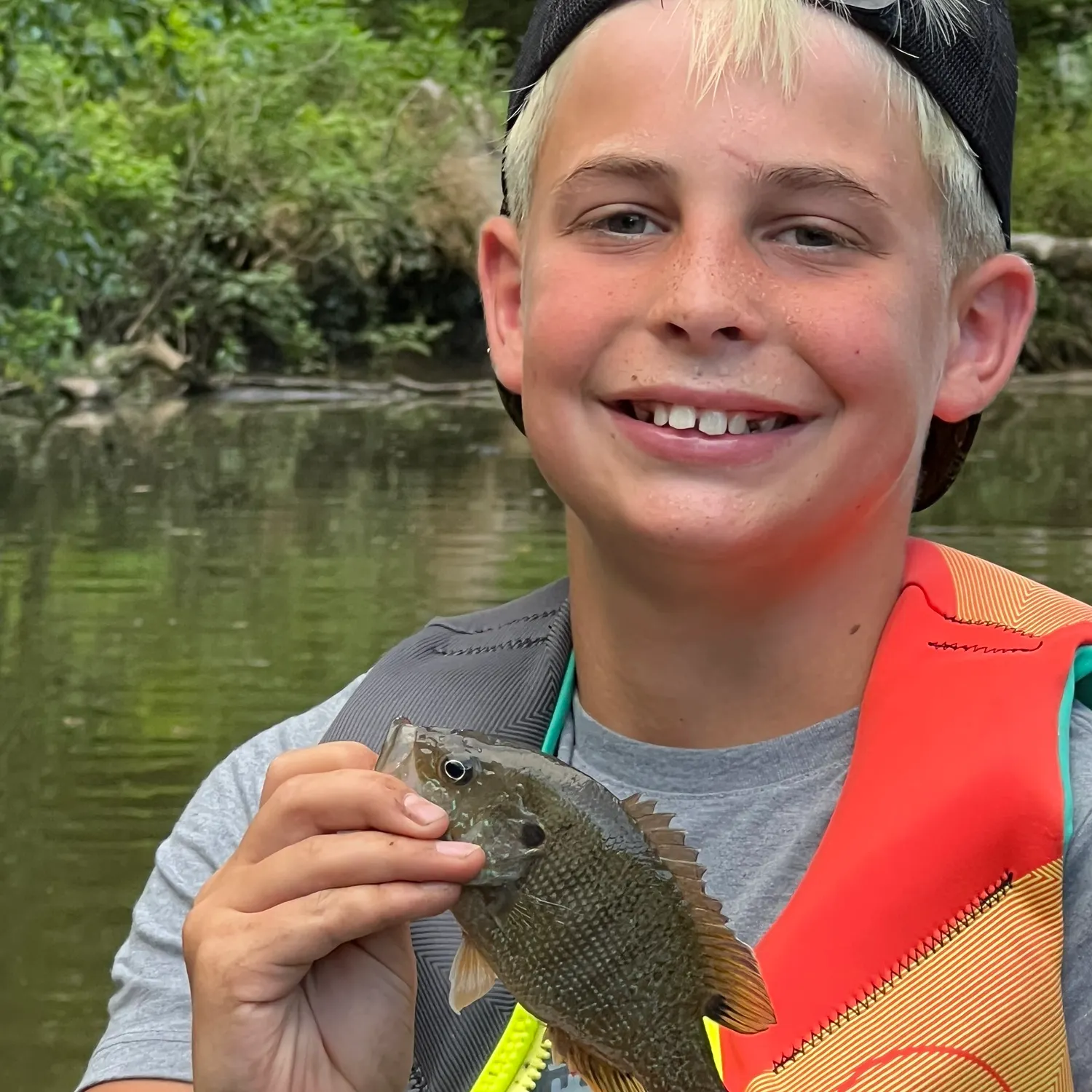 The most recent Green sunfish catches on Fishbrain