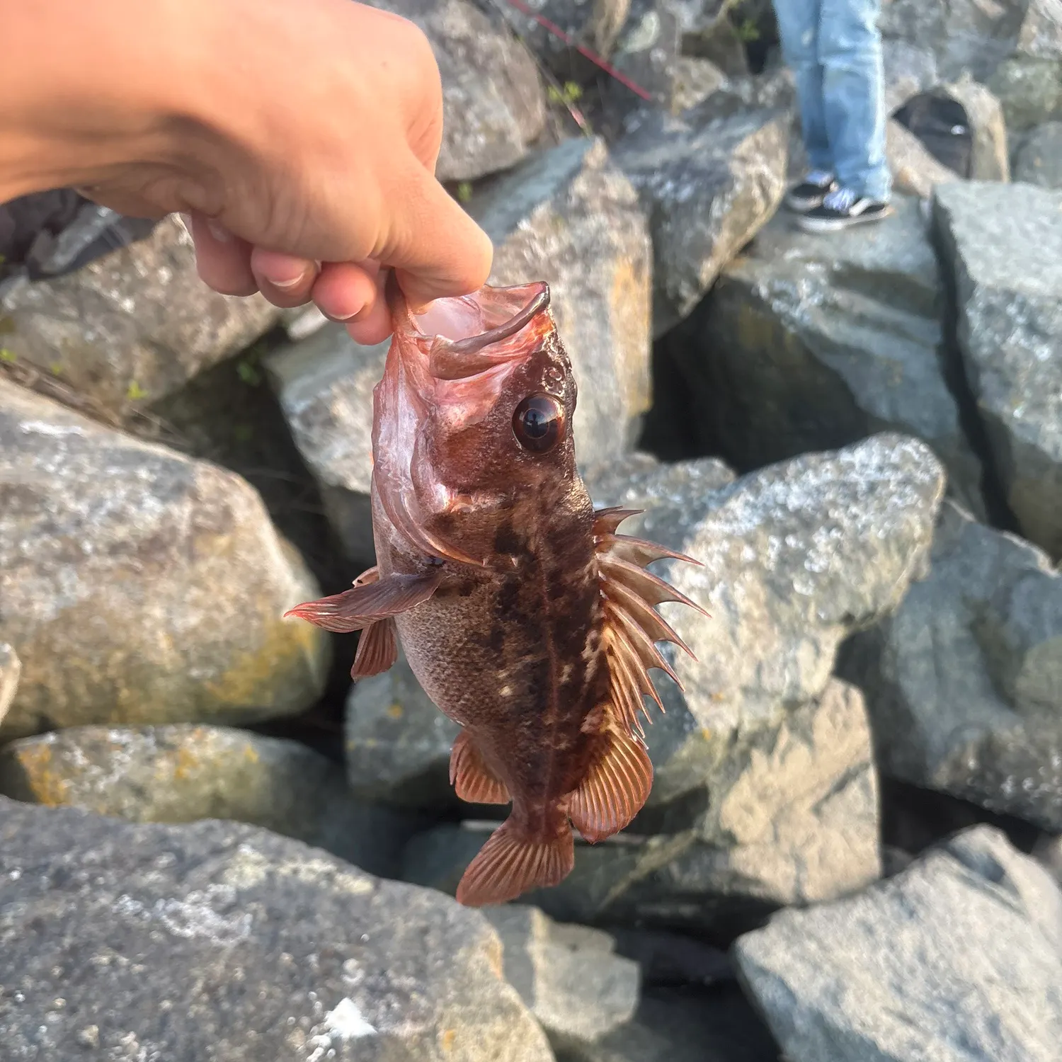 catch