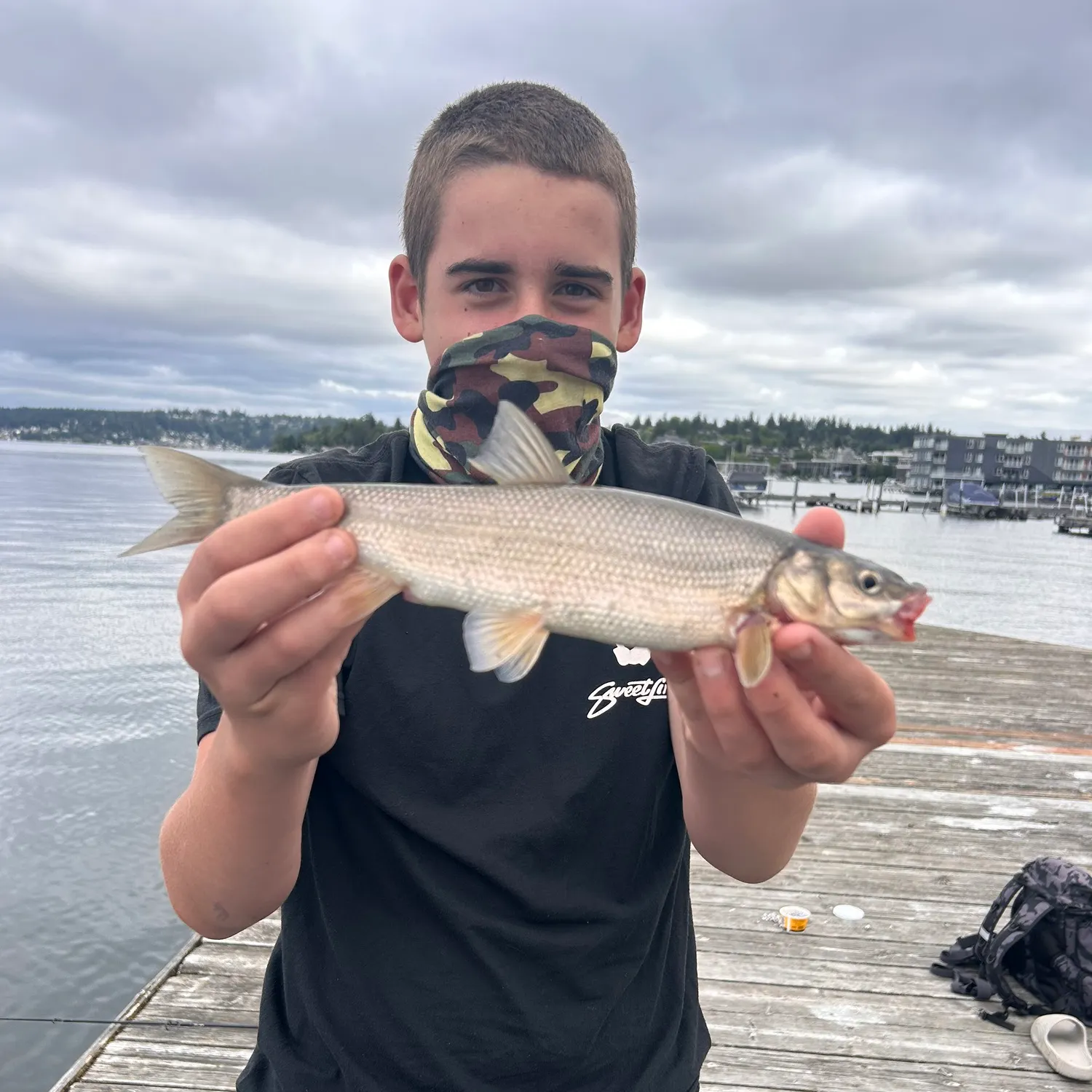 The most recent Peamouth catches on Fishbrain