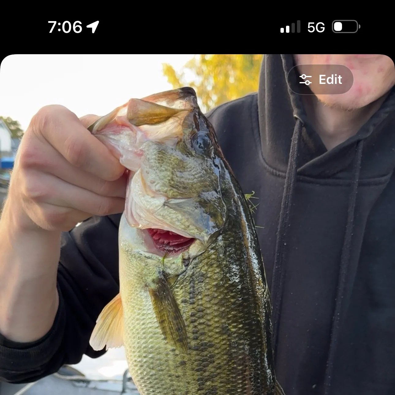 Largemouth bass caught on Fishbrain