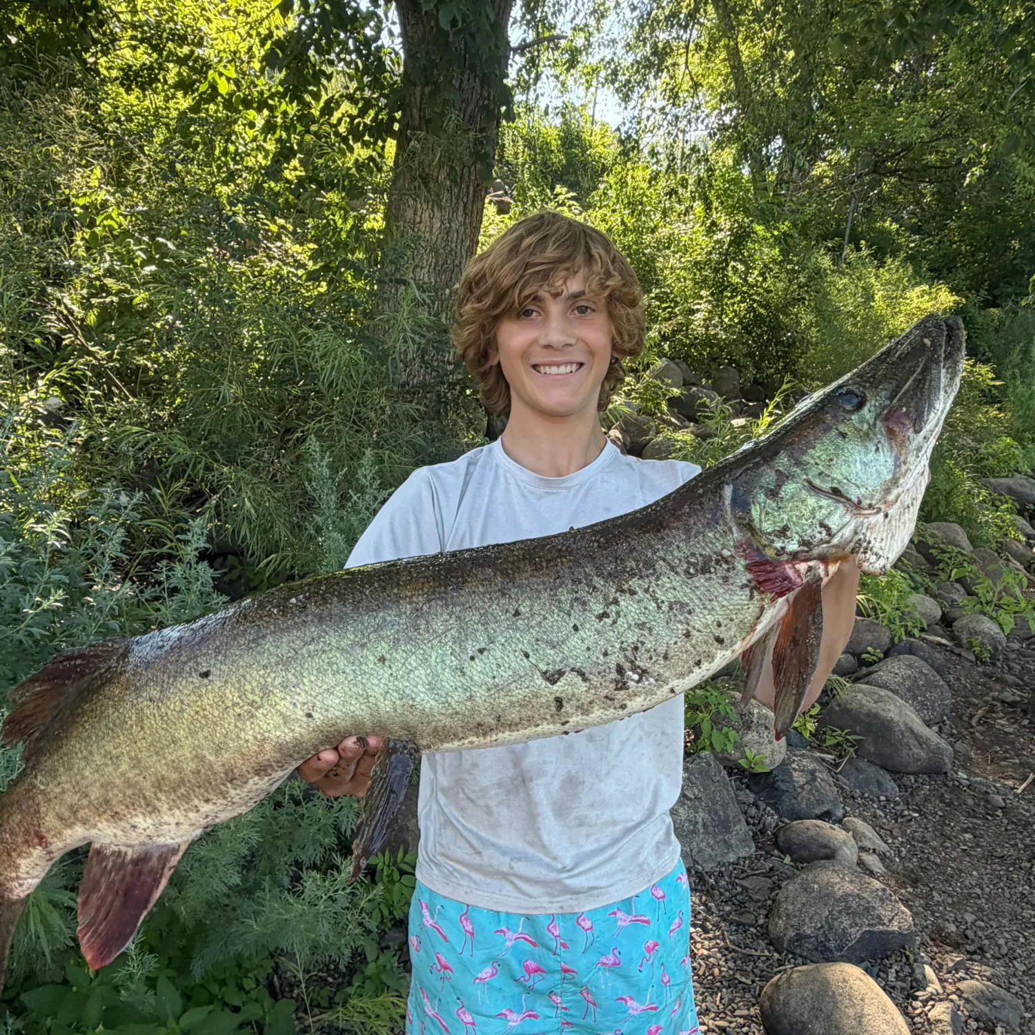 The most recent Muskellunge catches on Fishbrain
