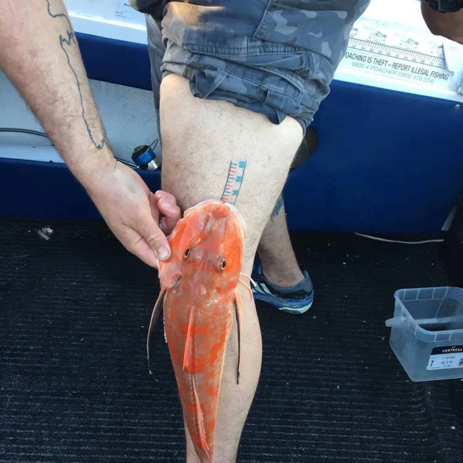 recently logged catches