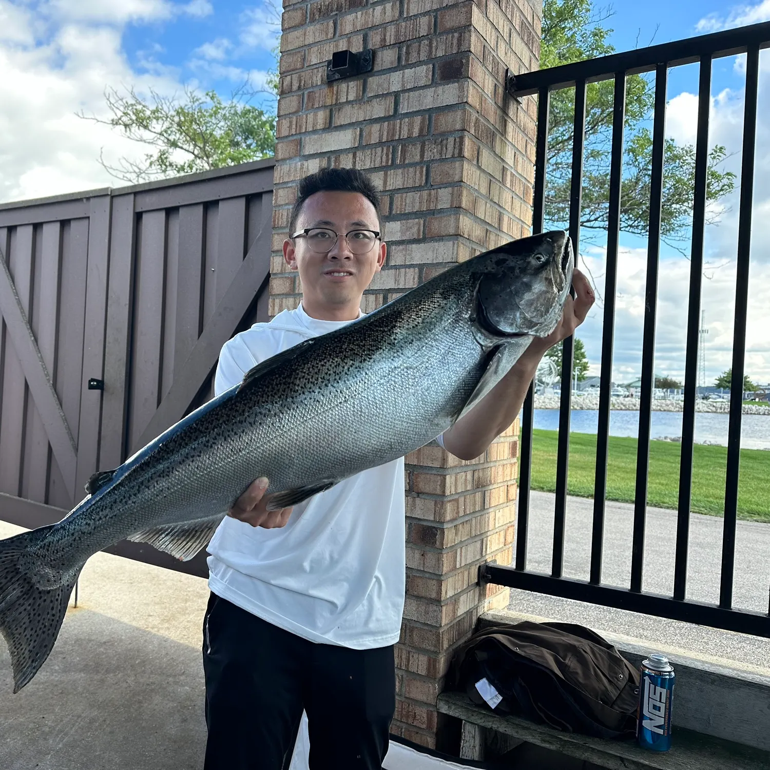 Chinook salmon caught on Fishbrain
