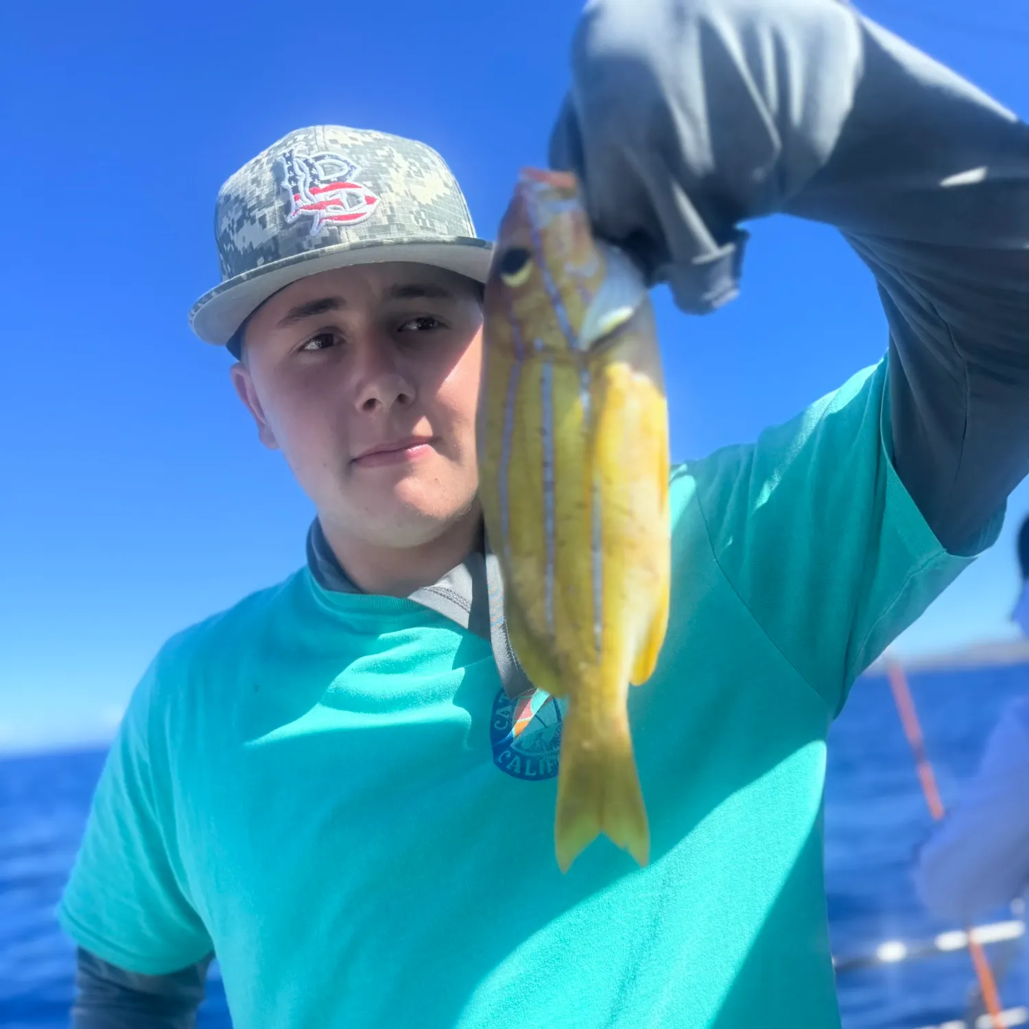 Fish caught on Fishbrain