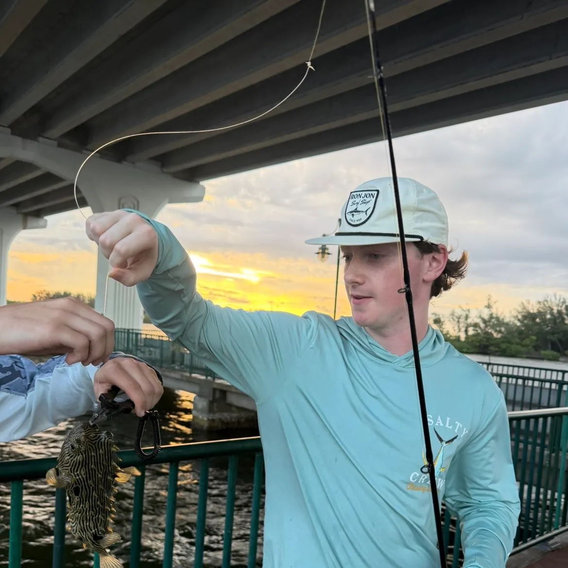 The most recent Striped burrfish catches on Fishbrain