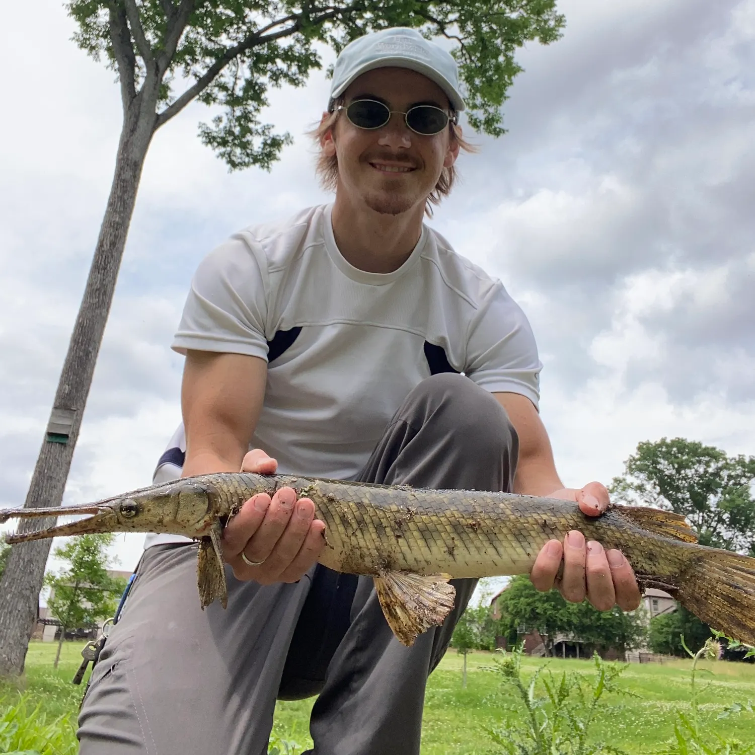 Longnose gar caught on Fishbrain