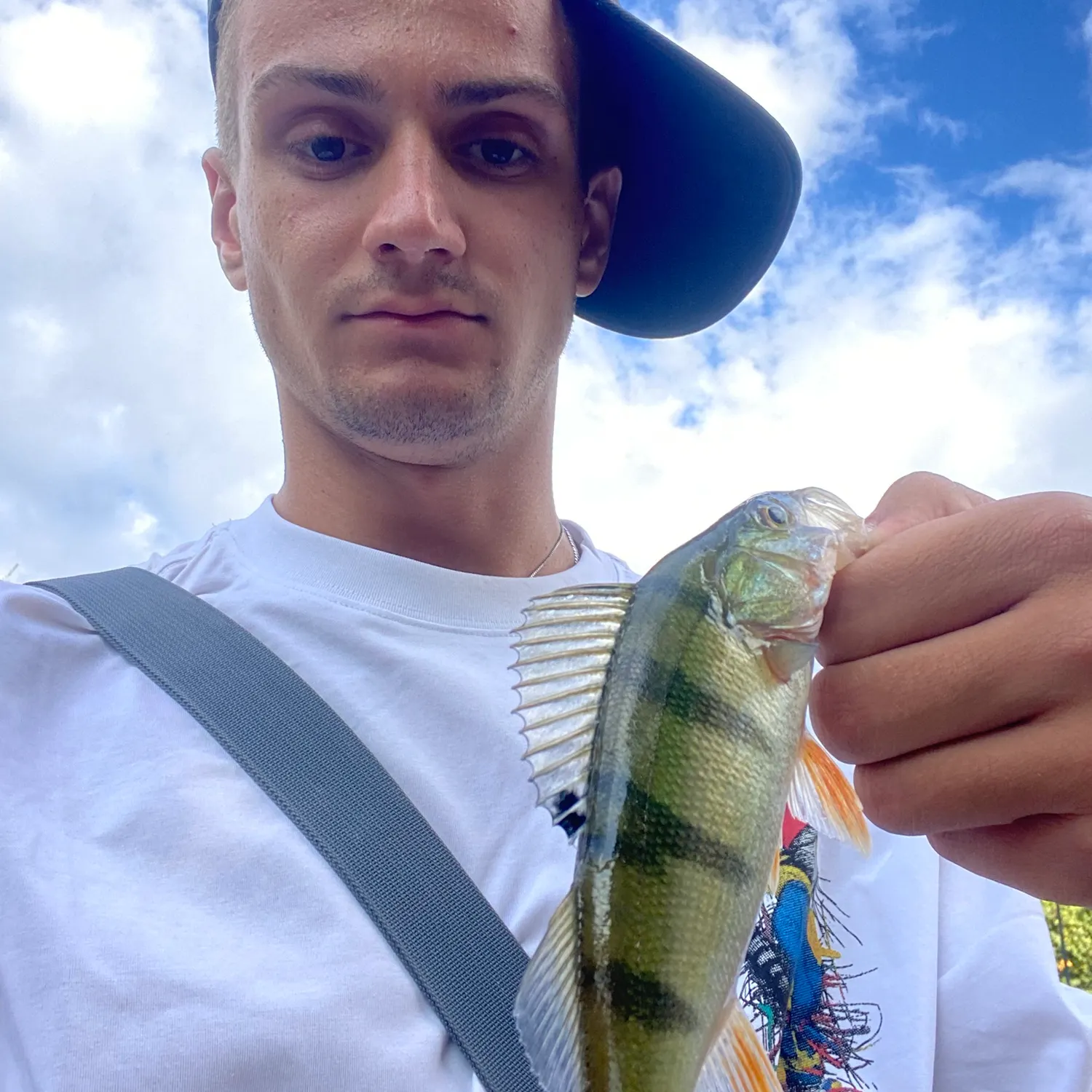 European perch caught on Fishbrain