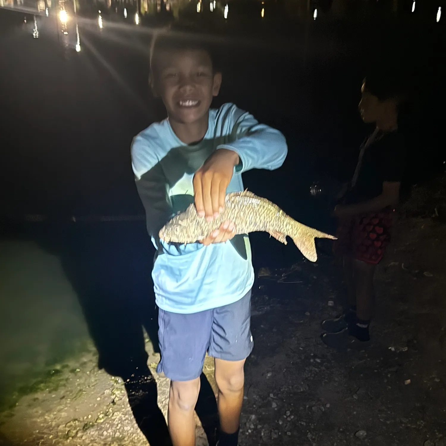 Common carp caught on Fishbrain