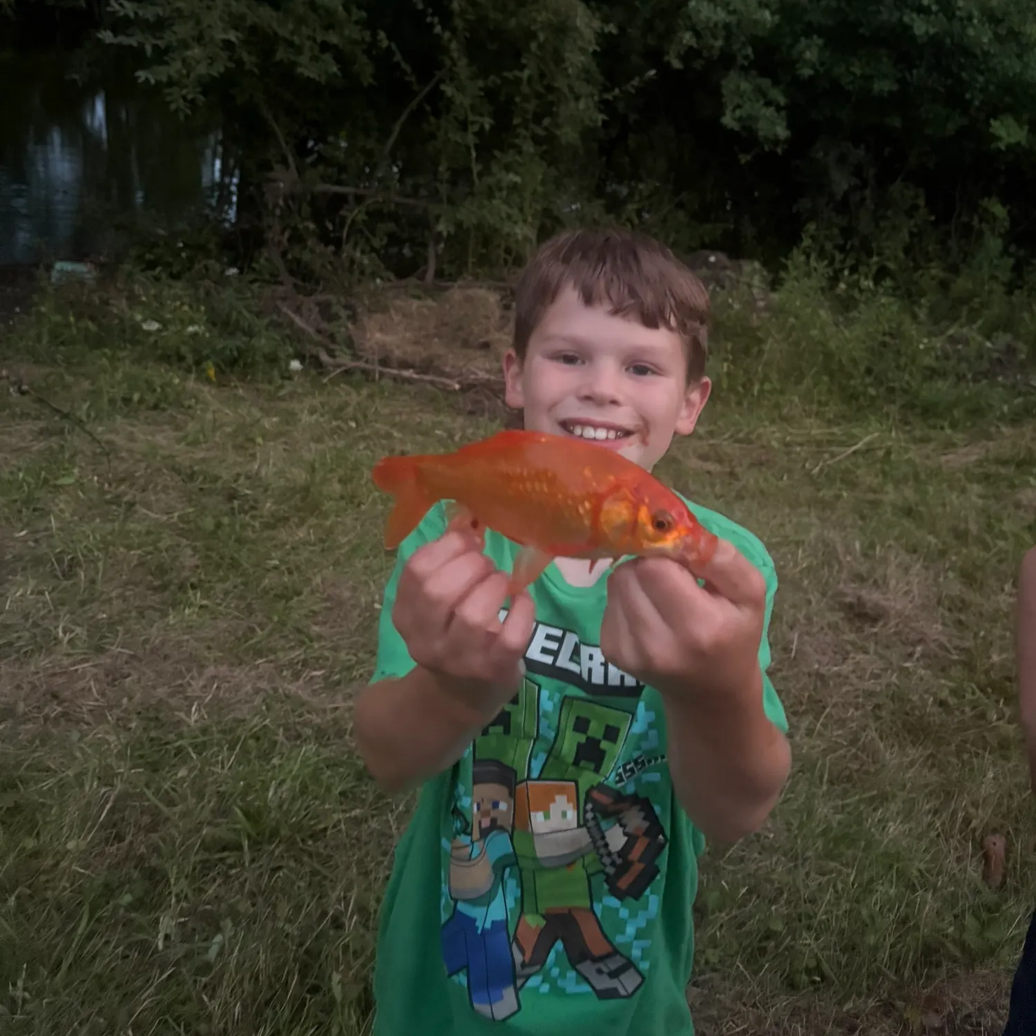 Goldfish caught on Fishbrain