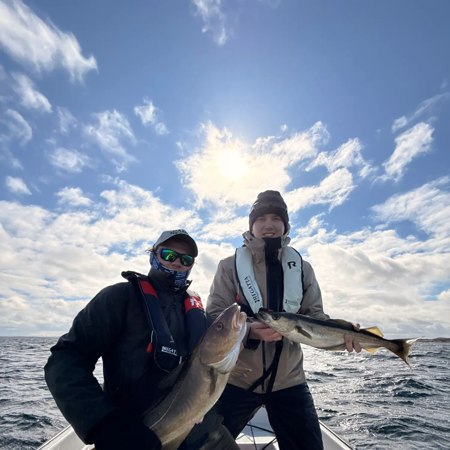Atlantic cod caught on Fishbrain