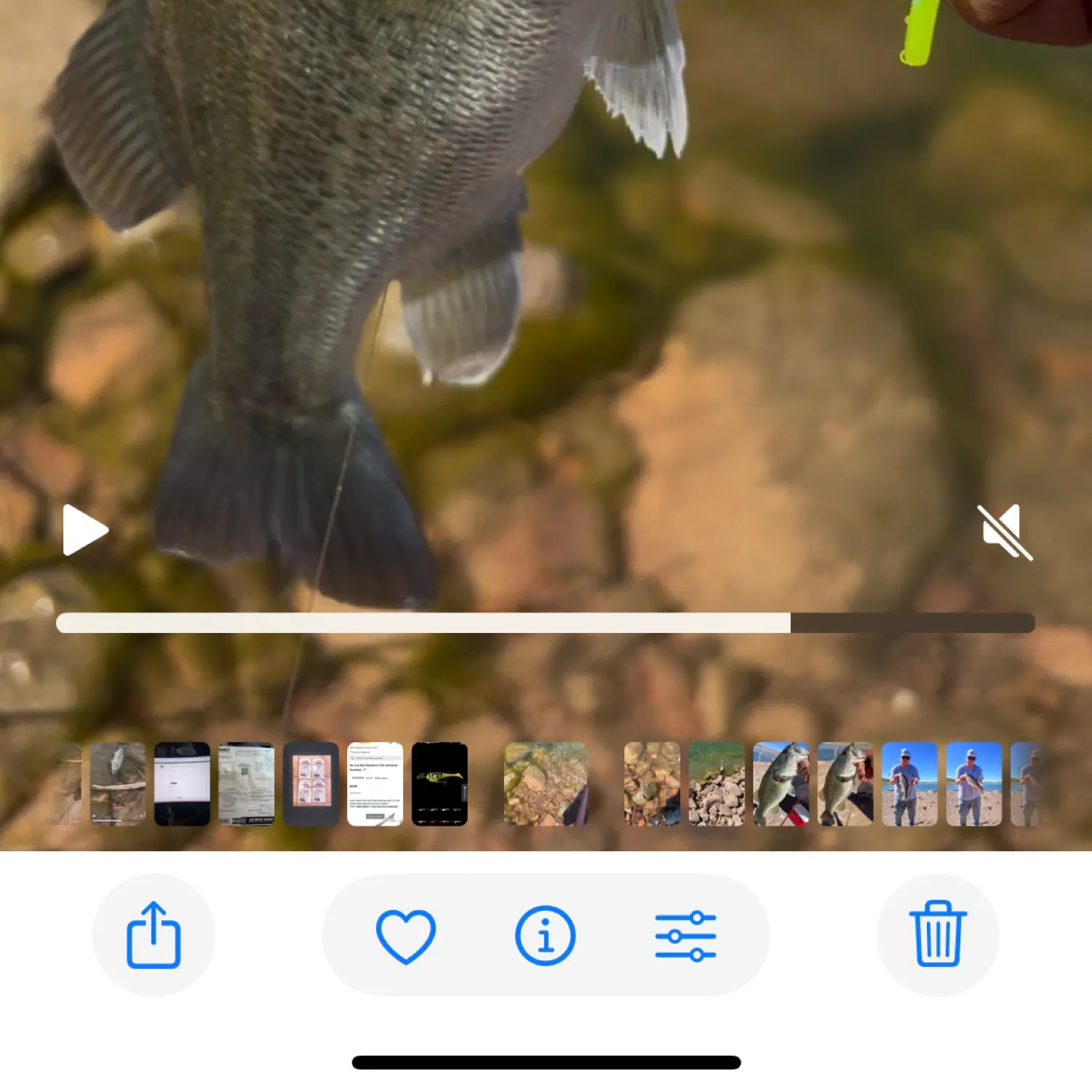recently logged catches